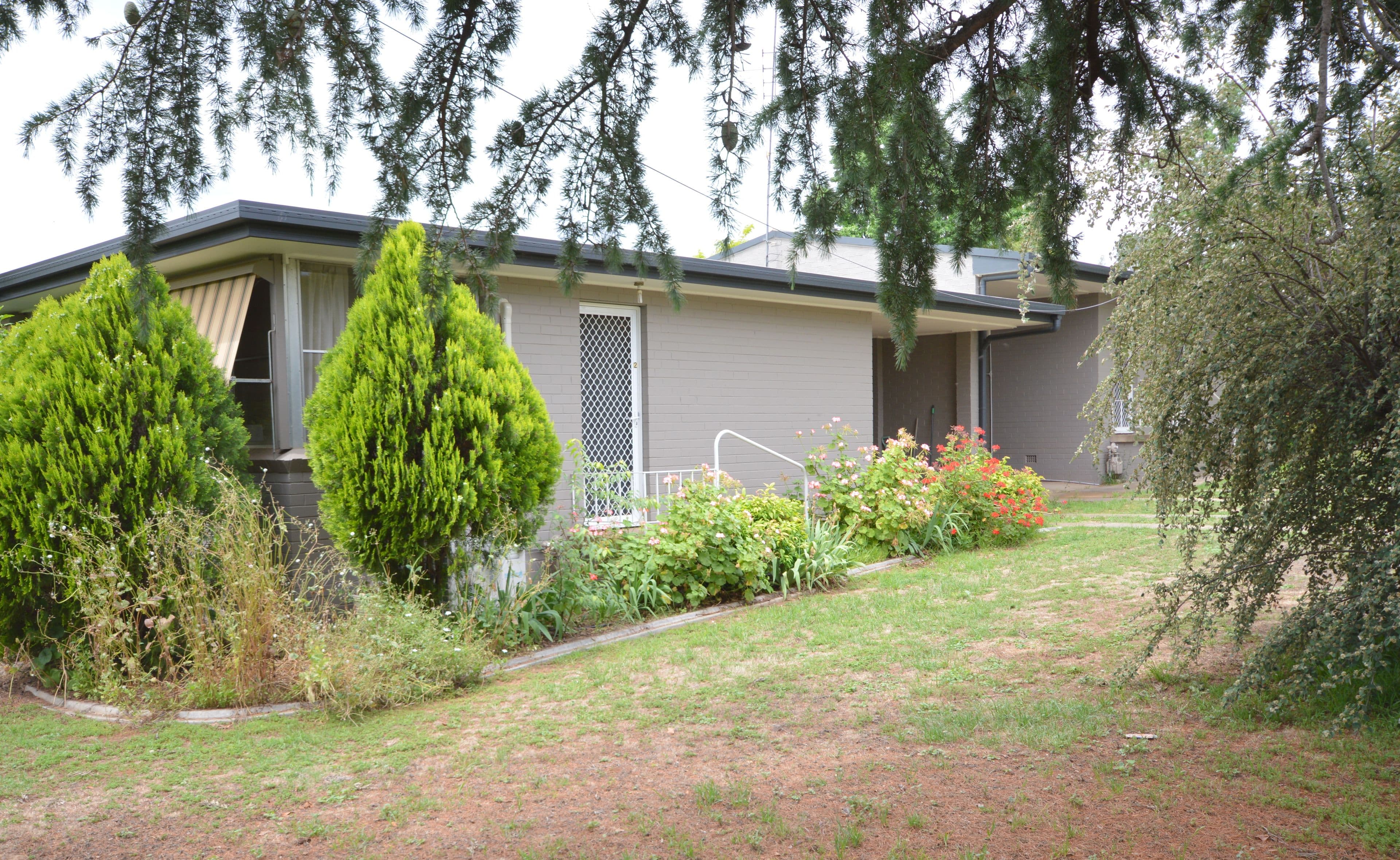 8 Pitt Street, Cowra NSW 2794, Cowra - Thumbnail 5