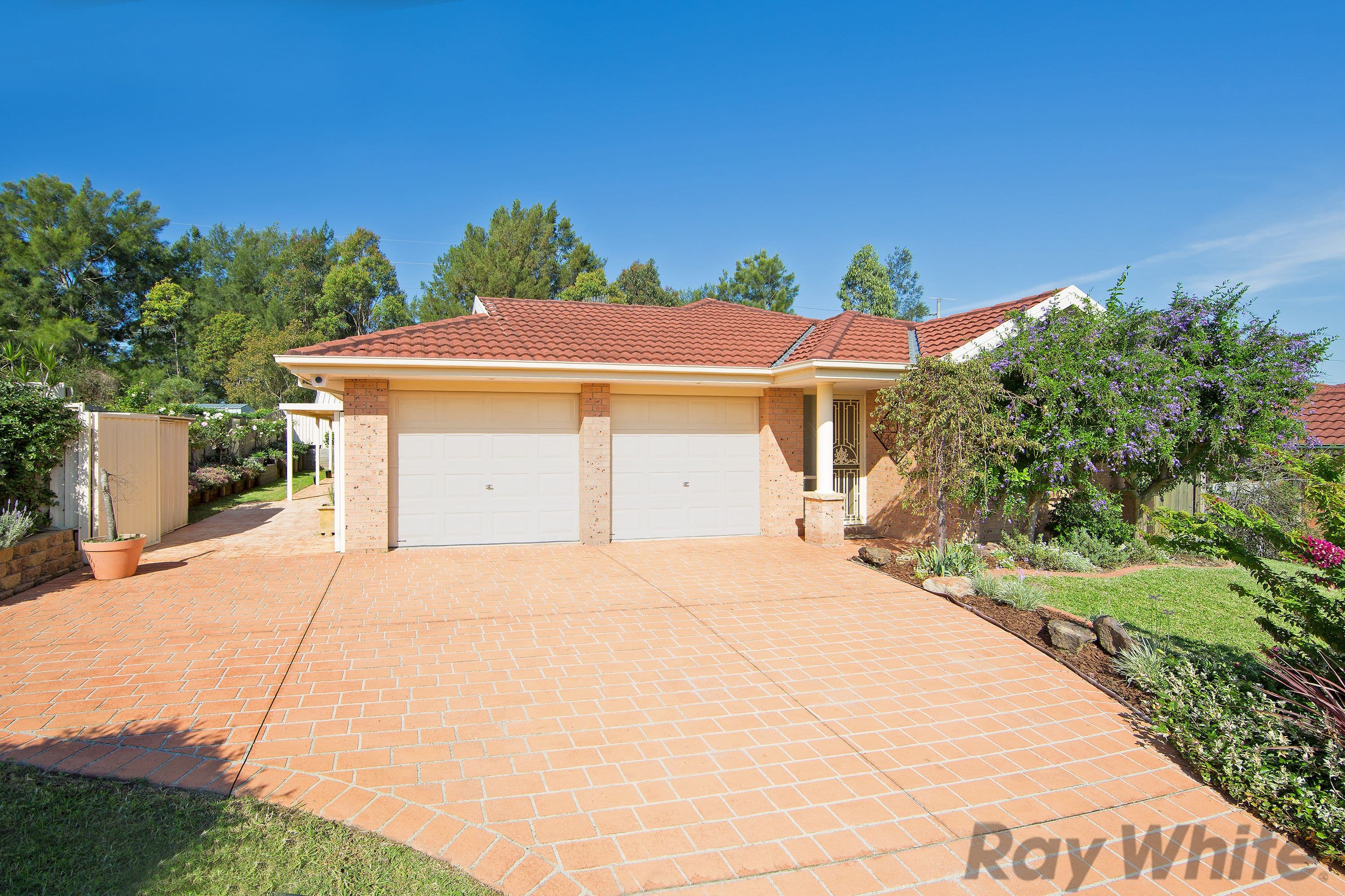 6 Imlay Street, Woongarrah - Thumbnail 2