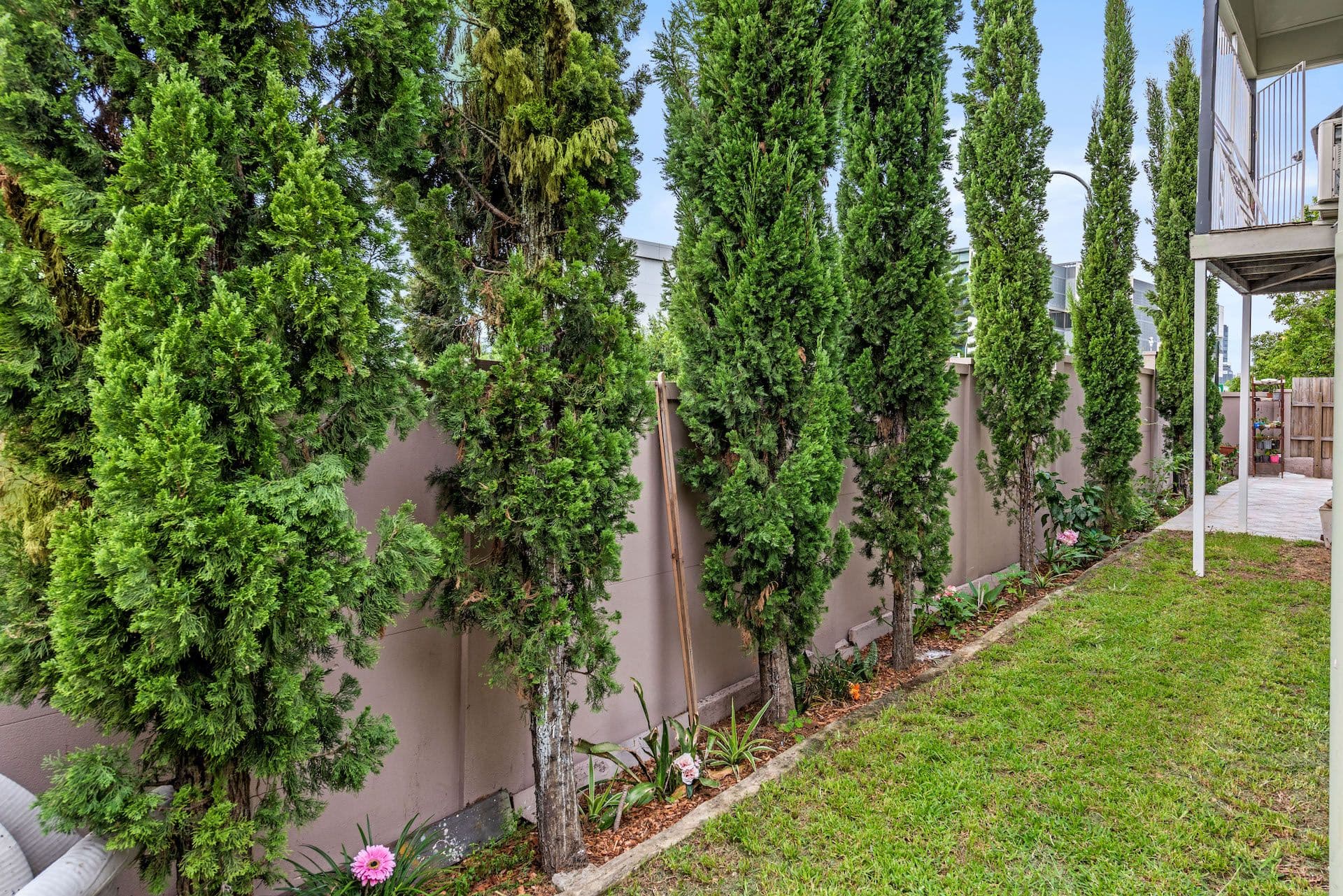 36 Upper Clifton Terrace, Red Hill QLD 4059, Red Hill - Thumbnail 3