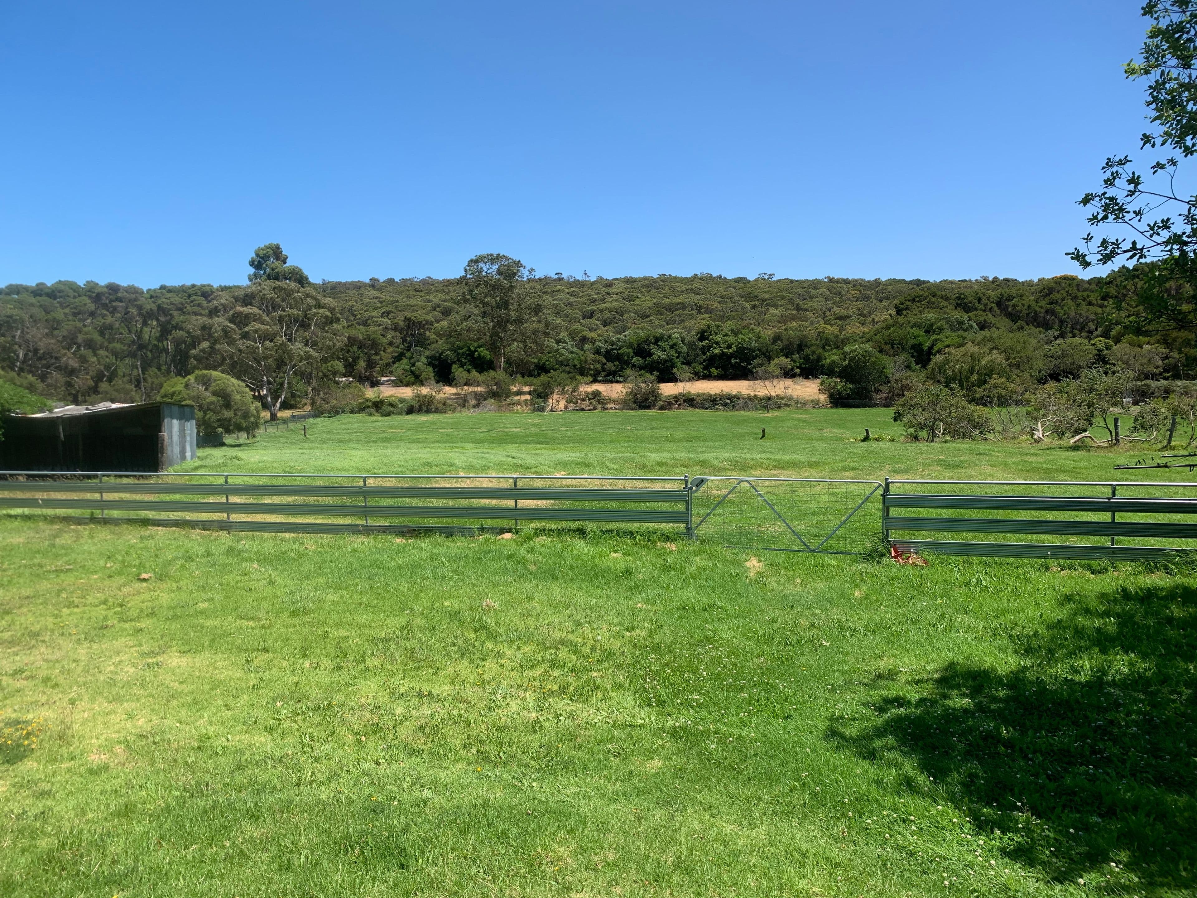 59 Ulster Road, Yakamia WA 6330, Yakamia - Thumbnail 2