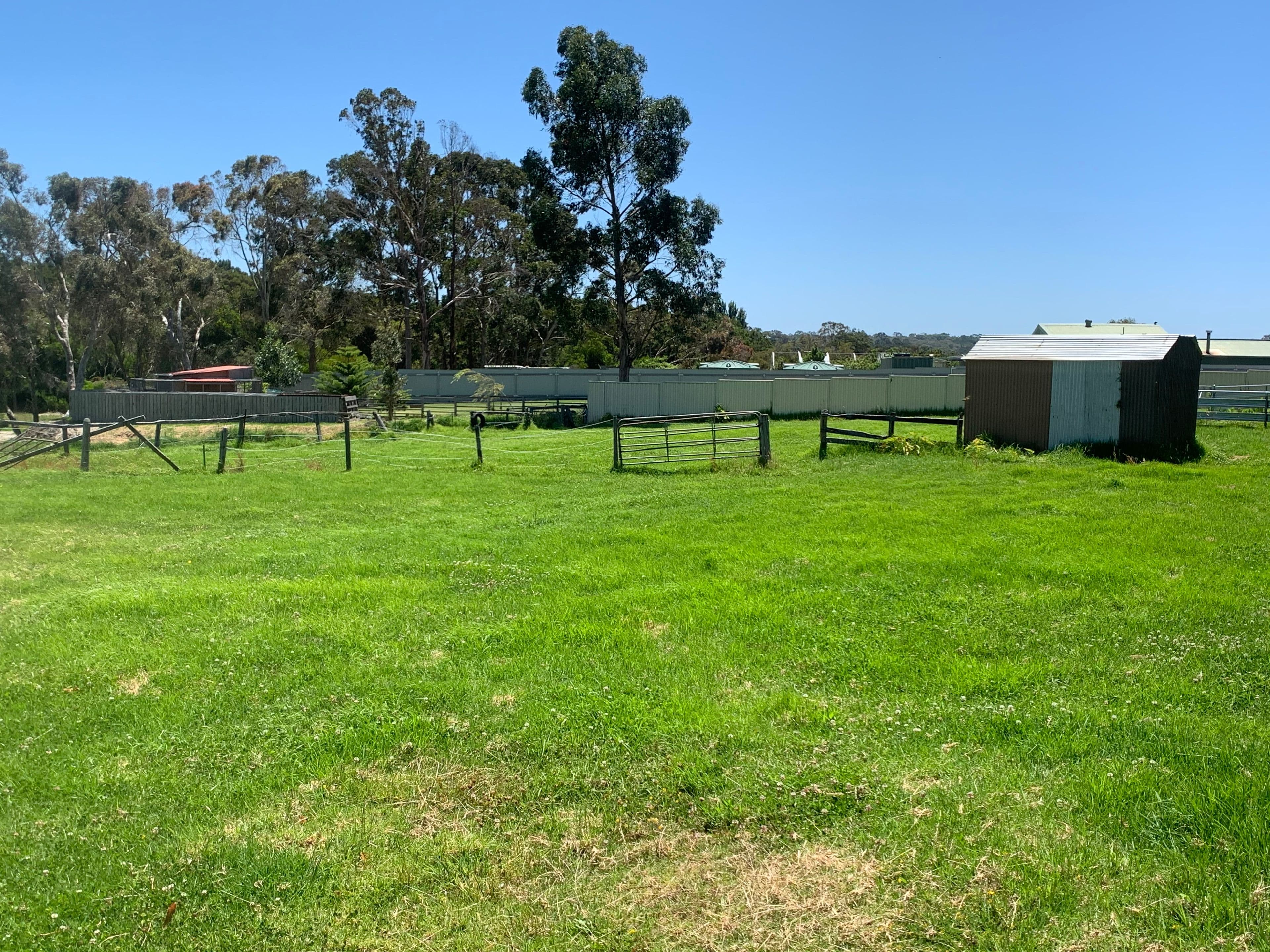59 Ulster Road, Yakamia WA 6330, Yakamia - Thumbnail 3