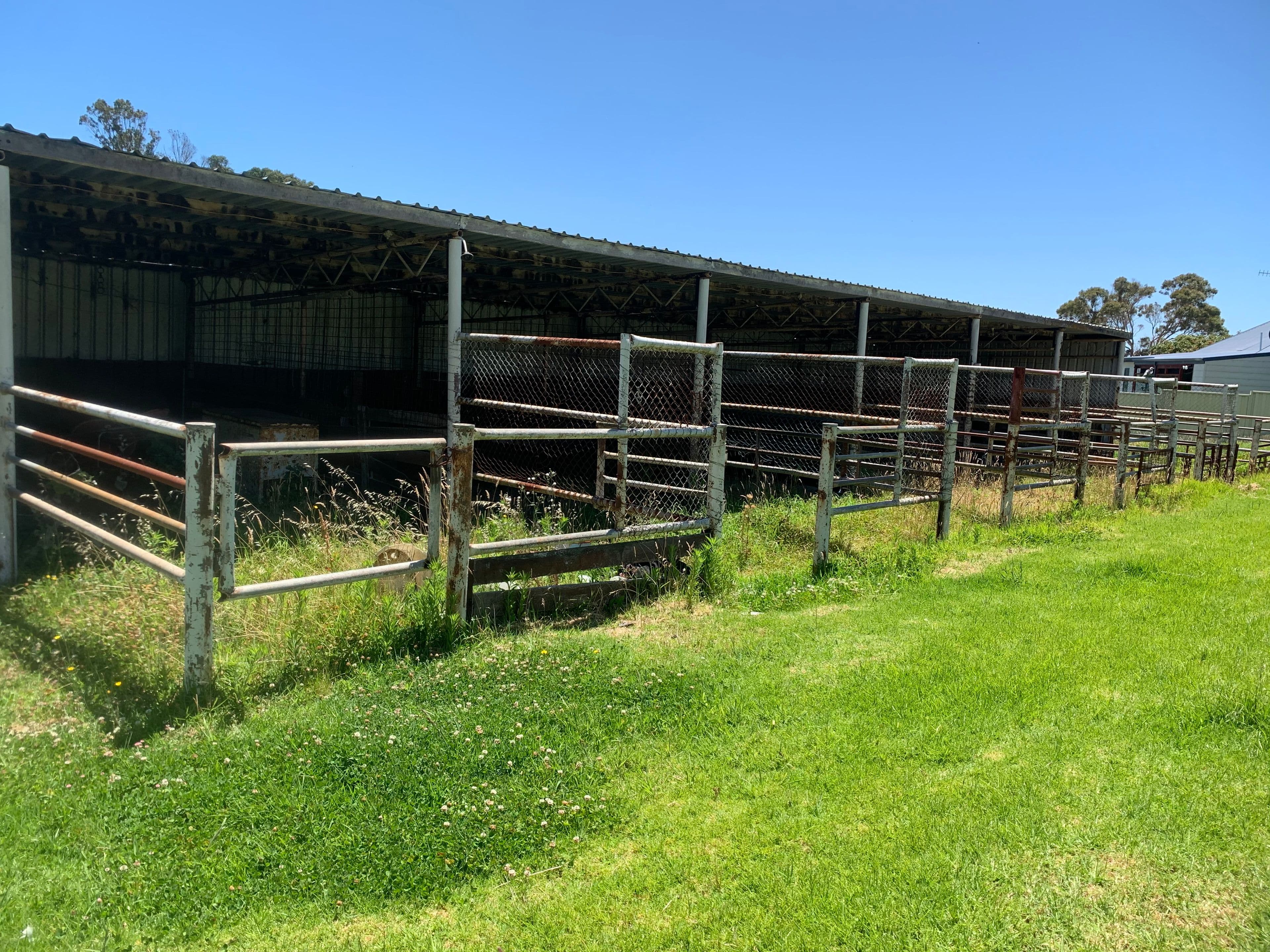 59 Ulster Road, Yakamia WA 6330, Yakamia - Thumbnail 5