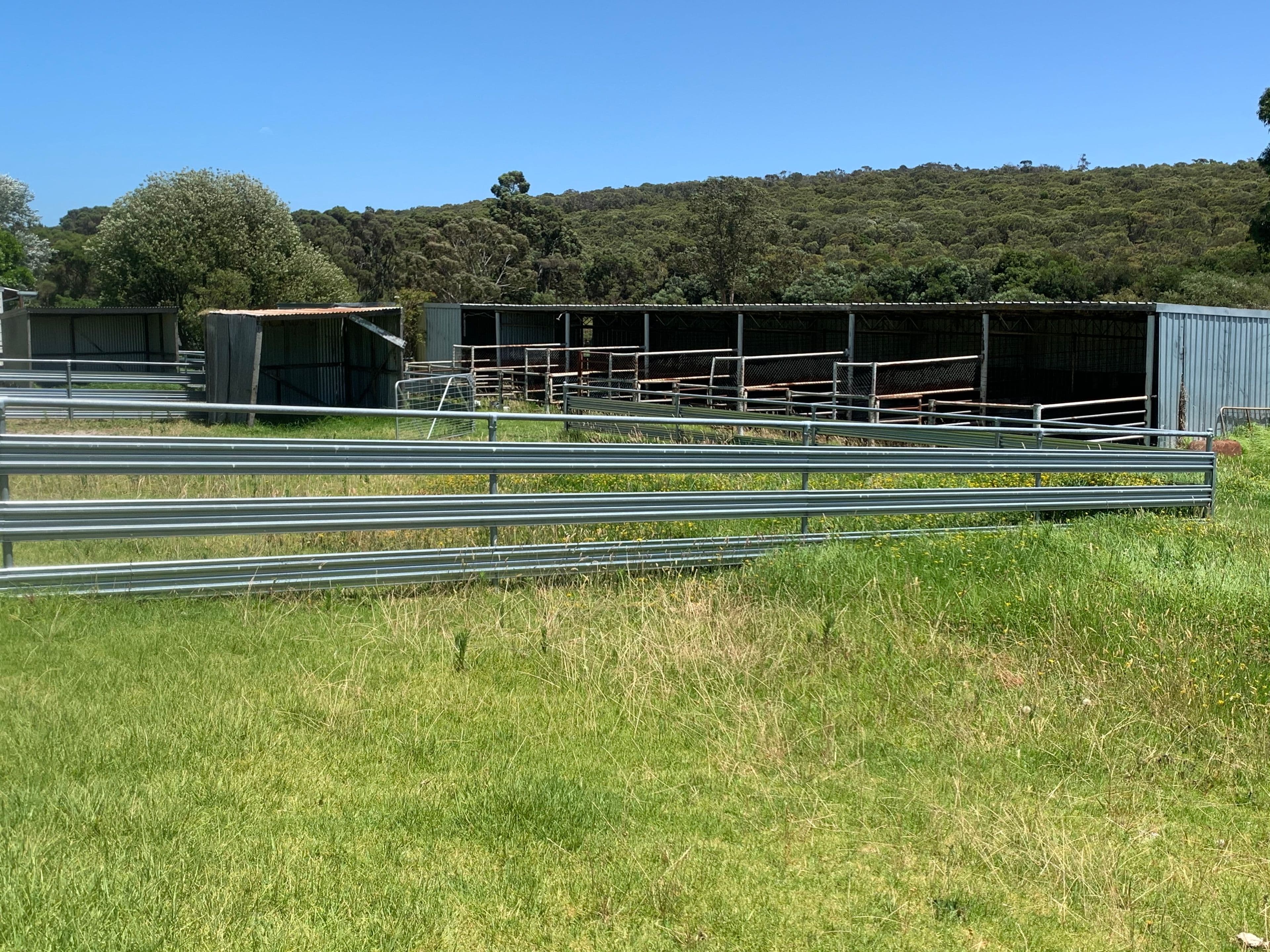 59 Ulster Road, Yakamia WA 6330, Yakamia - Thumbnail 7