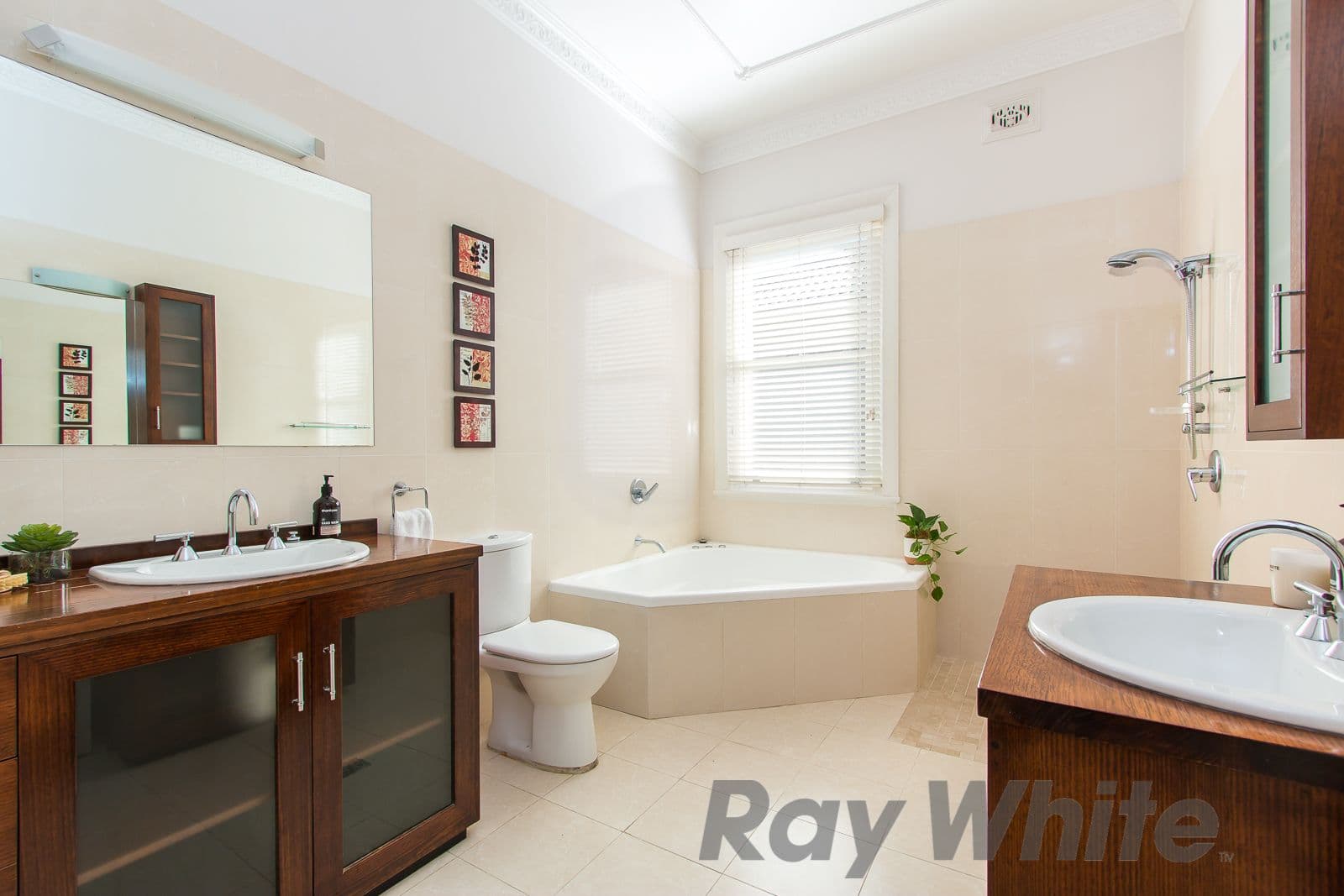 3 Percy Street, Hamilton - Thumbnail 4