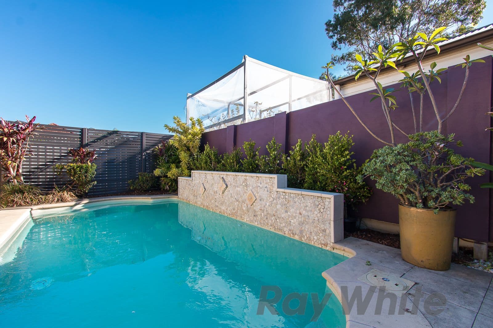 3 Percy Street, Hamilton - Thumbnail 6
