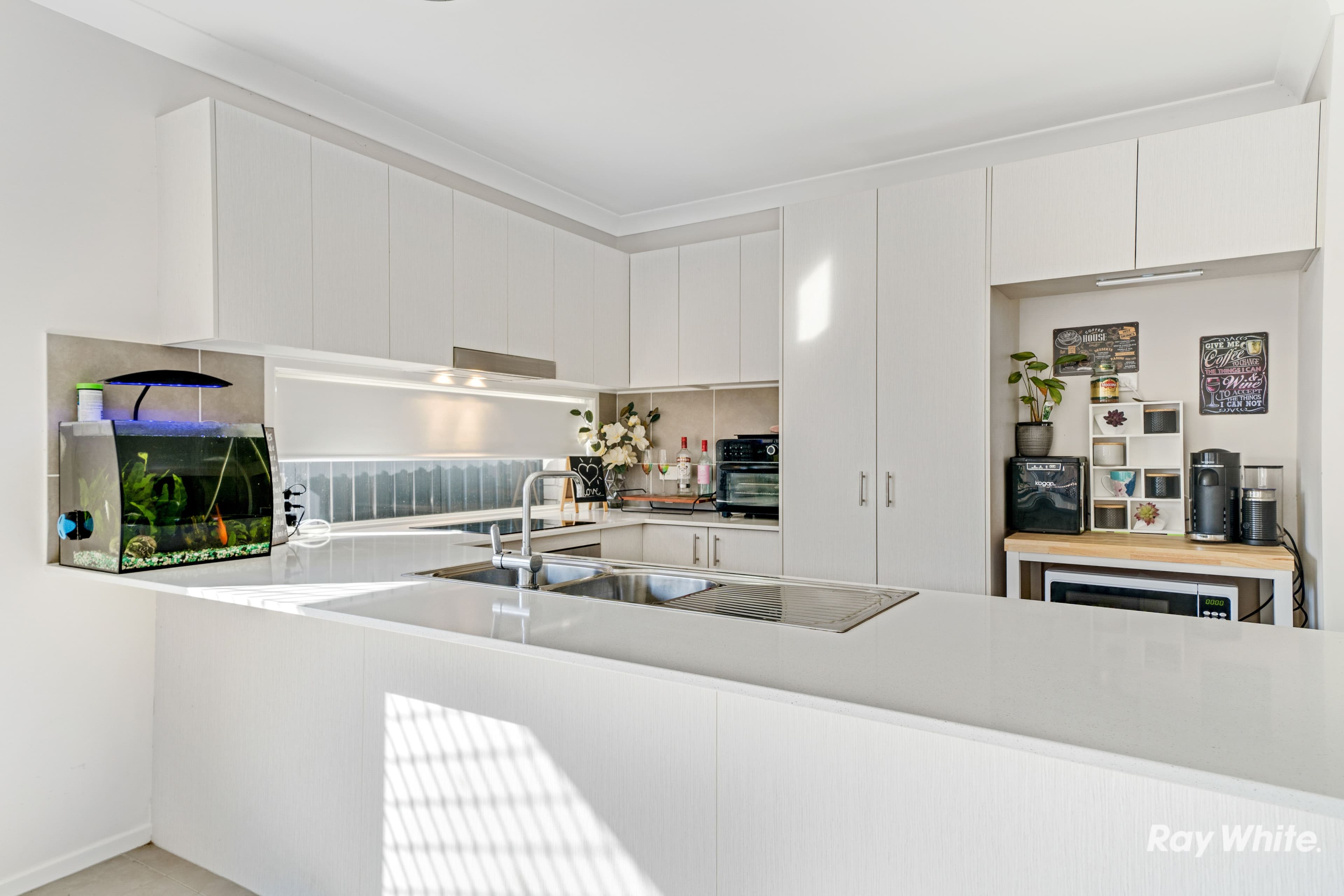 20 Coralina Crescent, Logan Reserve QLD 4133, Logan Reserve - Thumbnail 4