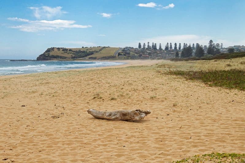 36 Renfrew Road, GERRINGONG NSW 2534, Gerringong - Thumbnail 3