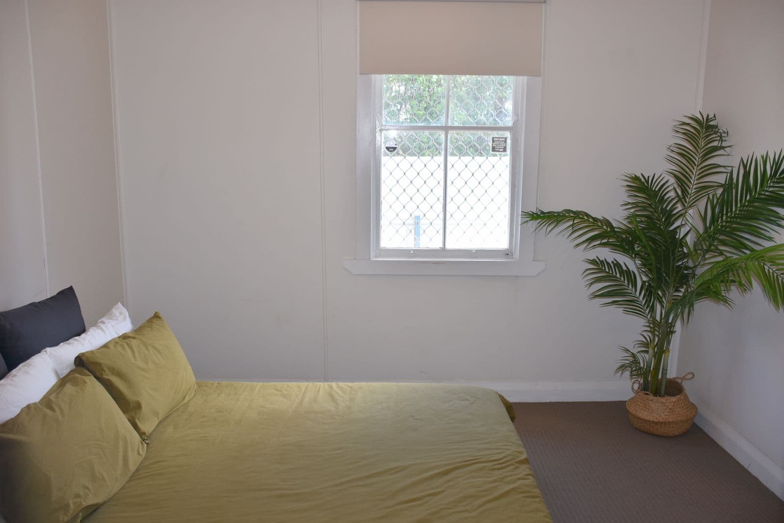 72 Alice Street, Moree NSW 2400, Moree - Thumbnail 8
