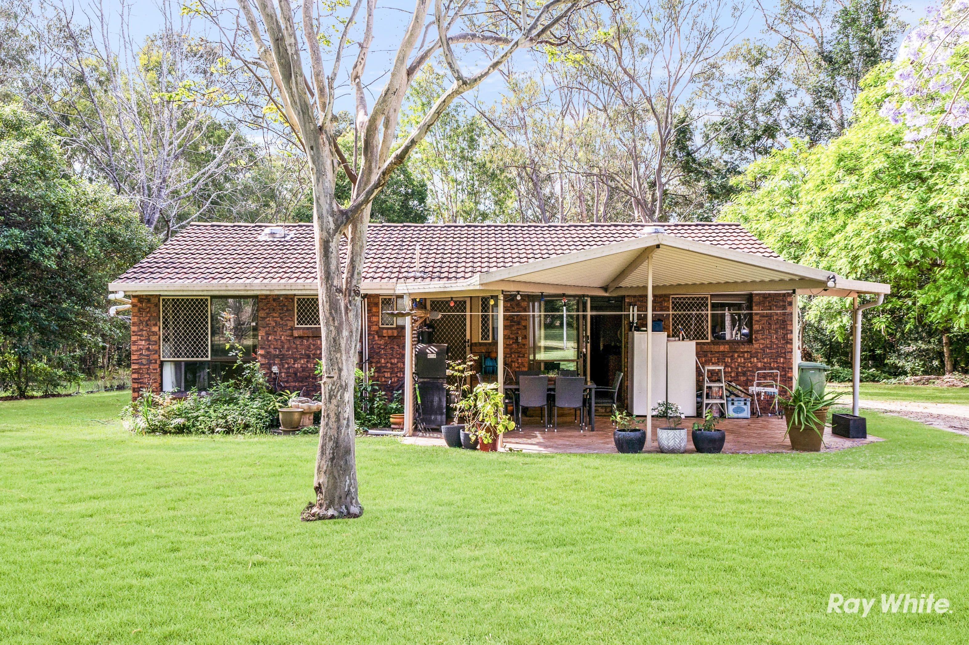 53 Country Court, Park Ridge QLD 4125, Park Ridge - Thumbnail 3