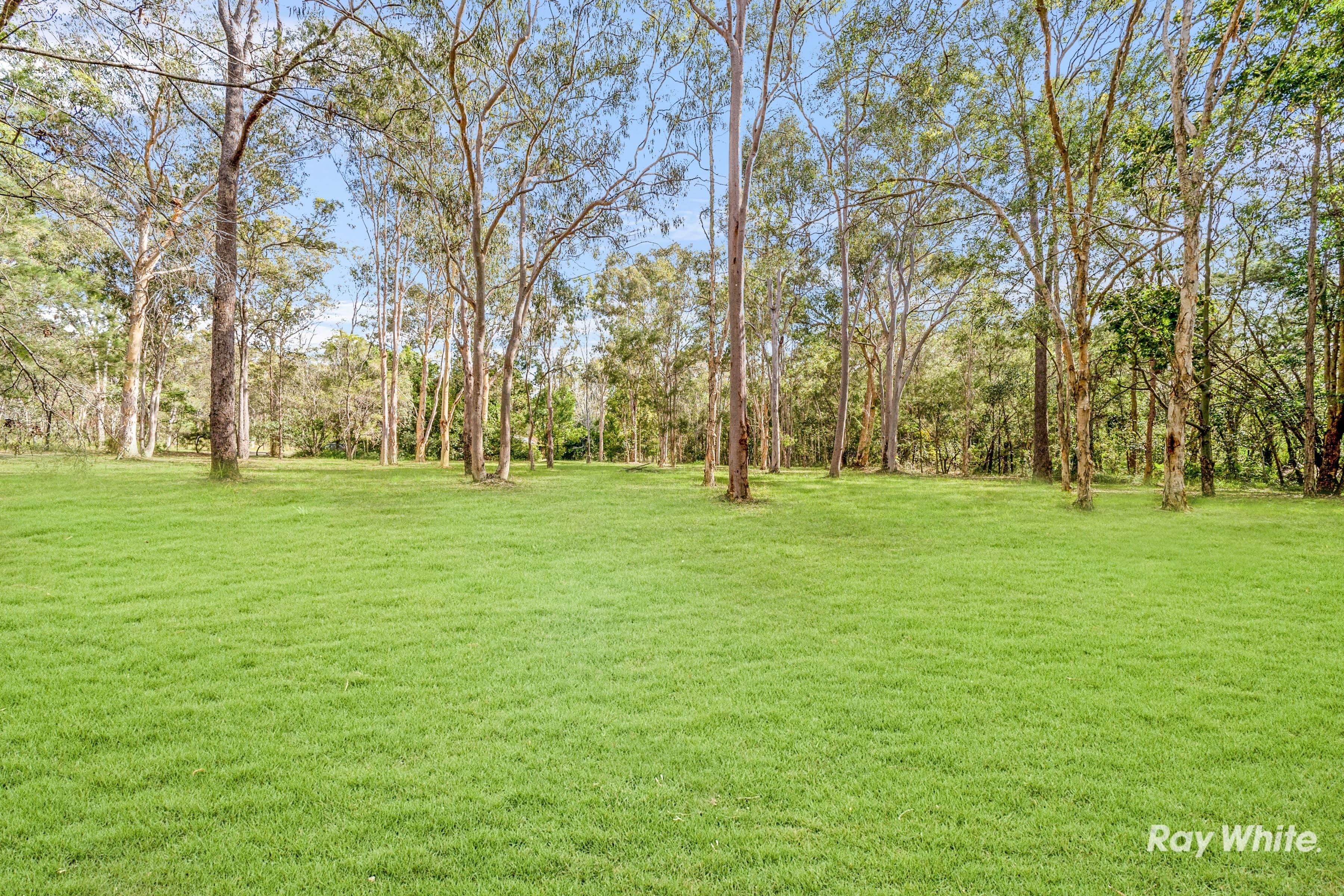 53 Country Court, Park Ridge QLD 4125, Park Ridge - Thumbnail 4