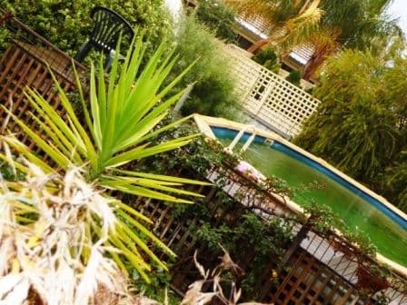 5-7 Arafura Ave, Loganholme, QLD, 4129, Loganholme - Thumbnail 6