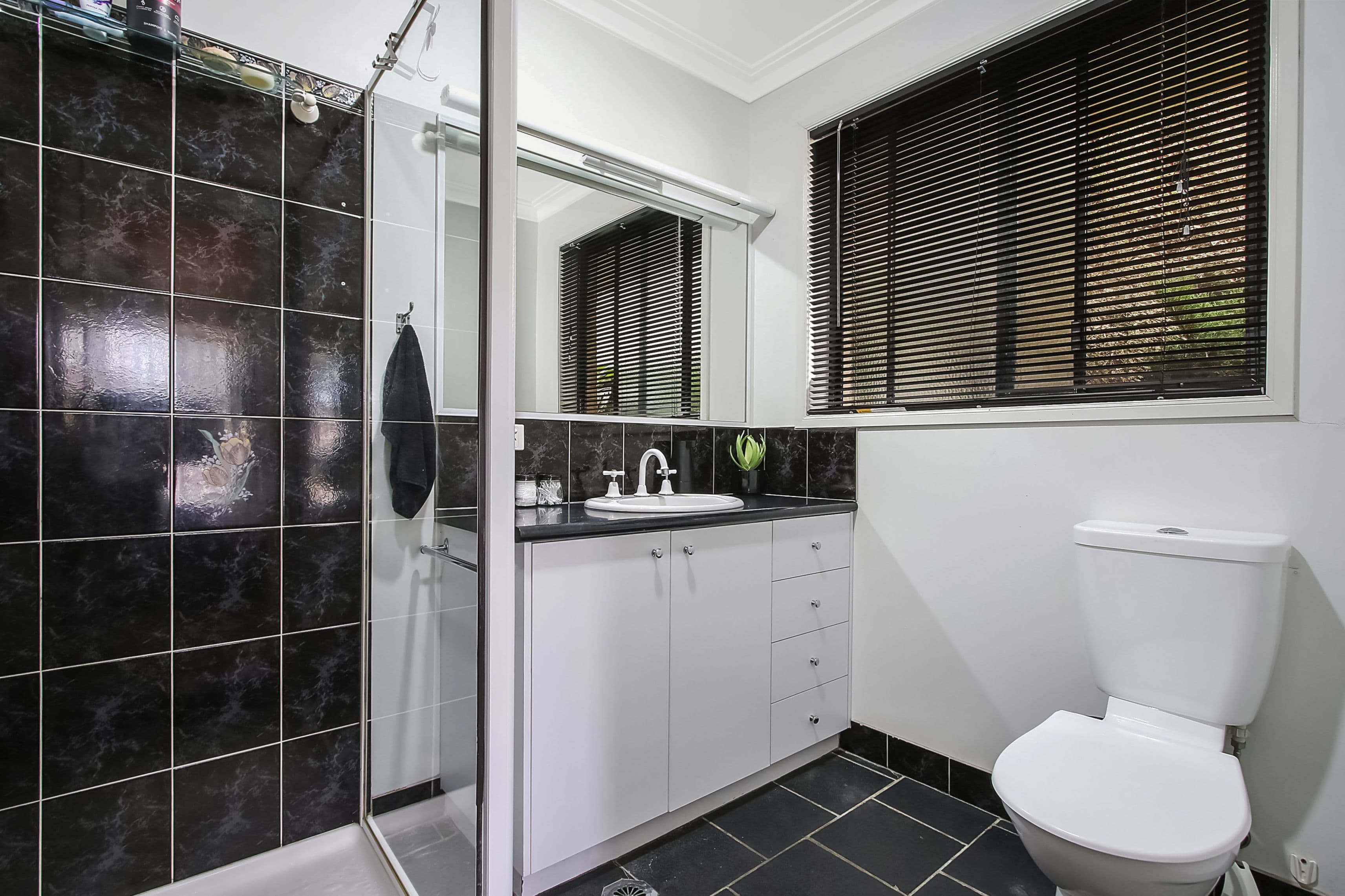251 Desmond Street, Lavington NSW 2641, Lavington - Thumbnail 7
