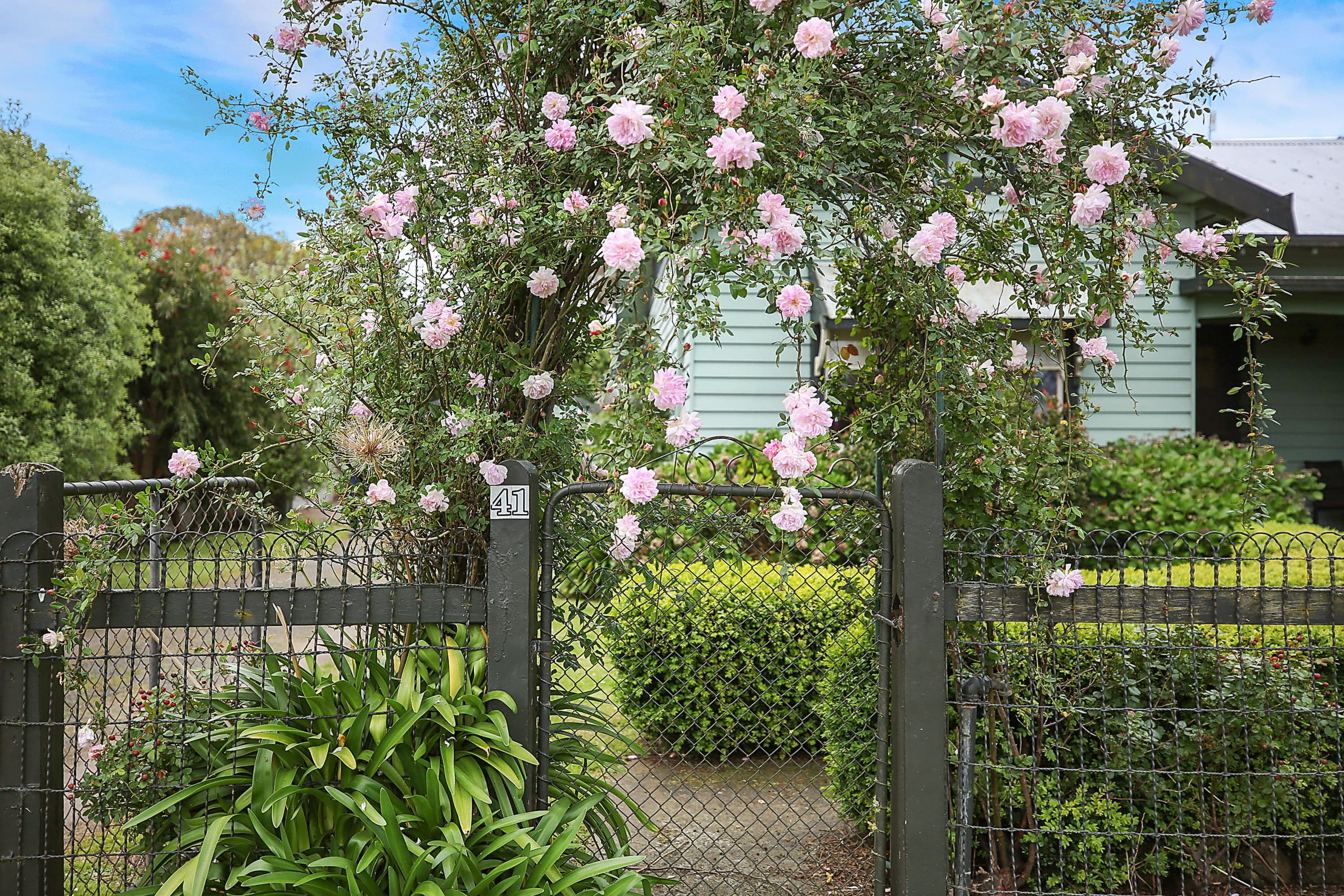 41 Mackinnons Bridge Road, Noorat VIC 3265, Noorat - Thumbnail 3