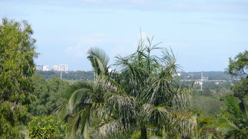 BLI BLI QLD 4560, Bli Bli - Thumbnail 8