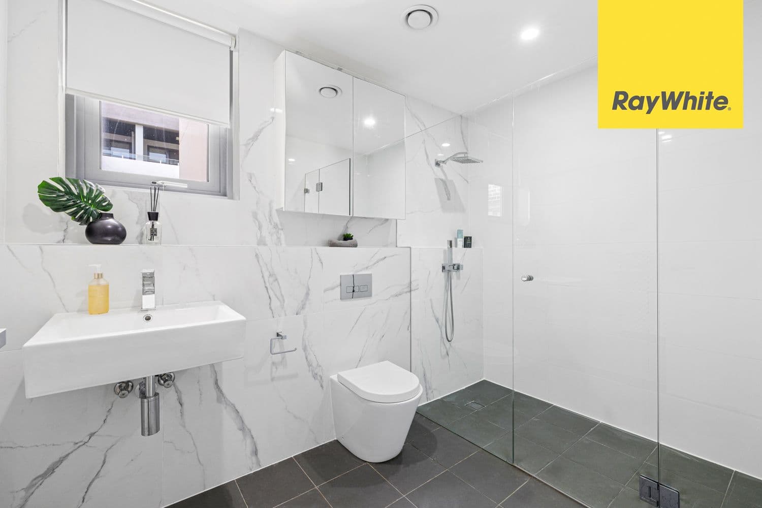3 Hazlewood Place, Epping NSW 2121, Epping - Thumbnail 4