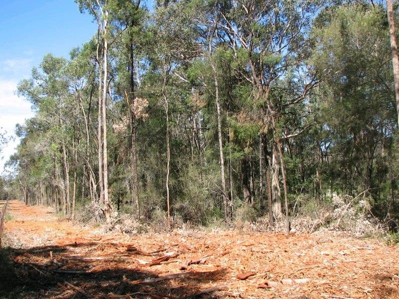 149 Mulhollands Road, PICTON NSW 2571, Picton - Thumbnail 2
