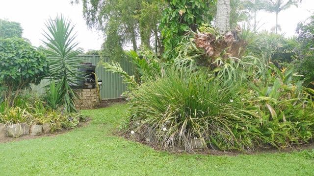 17 Spanner Road, Glass House Mountains QLD 4518, Glass House Mountains - Thumbnail 8