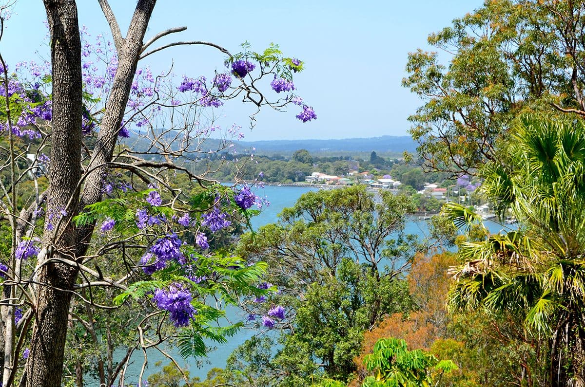46 Horsfield Road, Horsfield Bay - Thumbnail 3