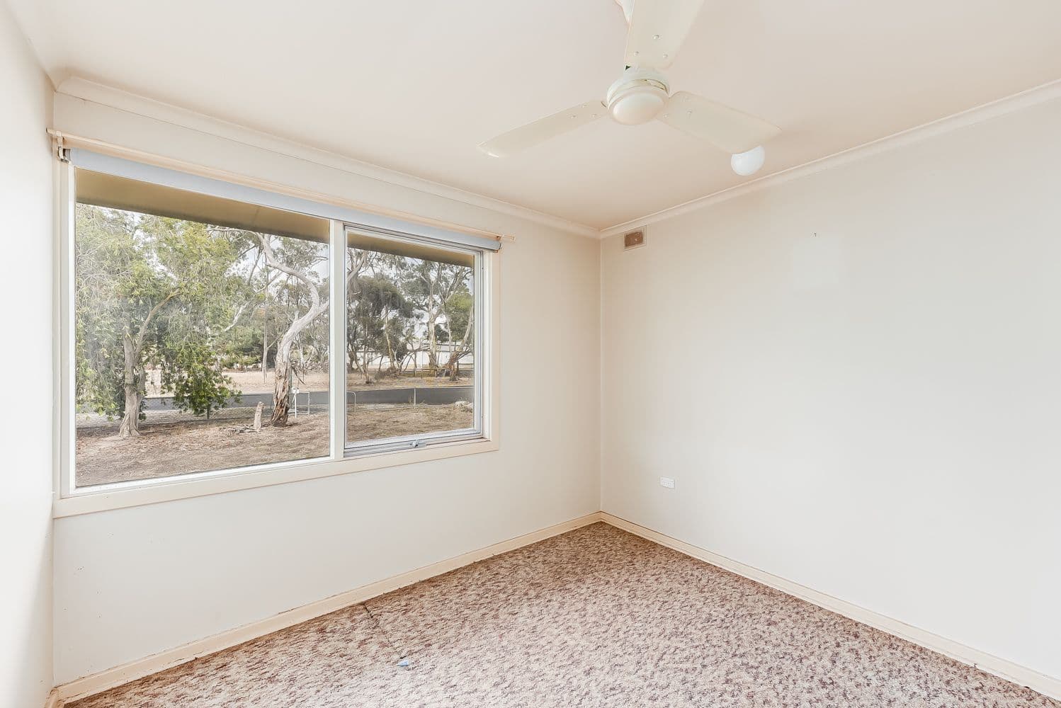 29 Fifth Avenue, Keith SA 5267, Keith - Thumbnail 5