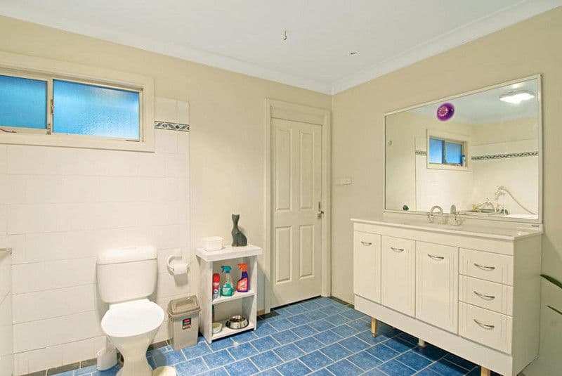 66 Redbank Road, Northmead NSW 2152, Northmead - Thumbnail 5
