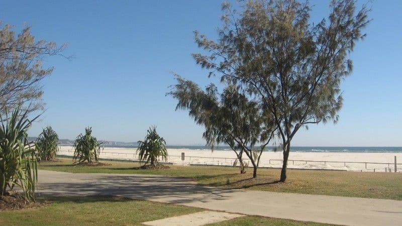 14 Marlborough Court, Ashmore, QLD, 4214, Ashmore - Thumbnail 4