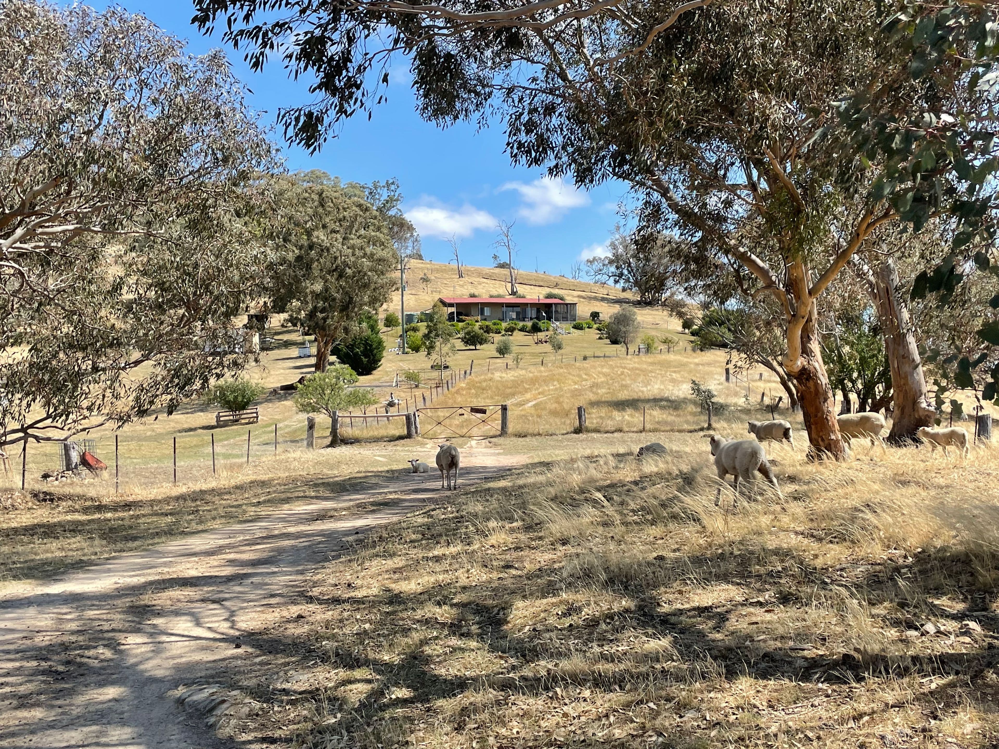 1/10 Mitchell Court, Bacchus Marsh - Thumbnail 4