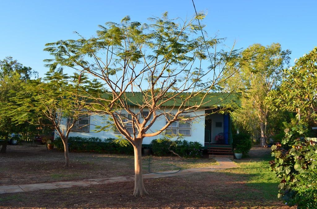 113 Rowan Street, Derby WA 6728, Derby - Image 1