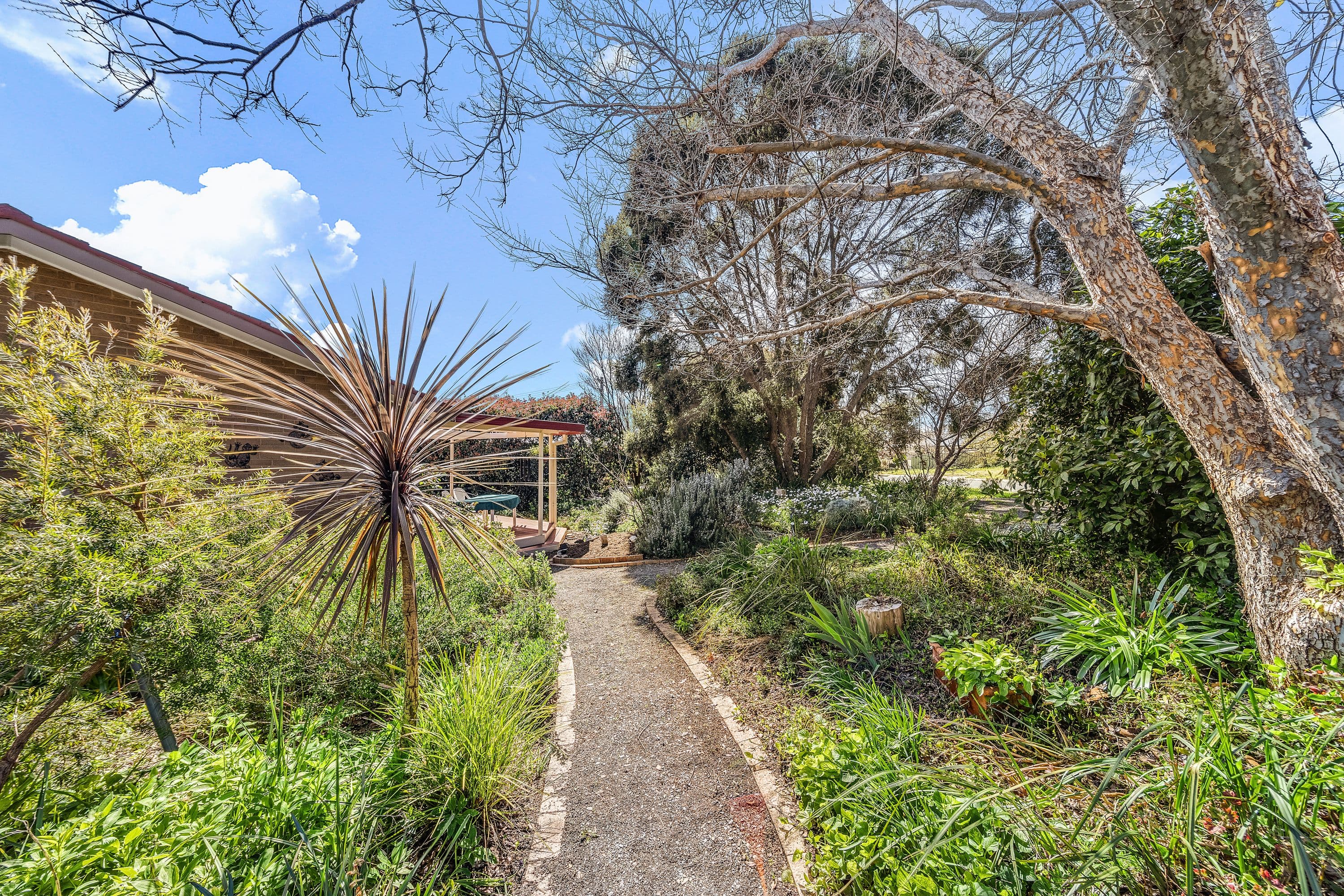 3 Hellyer Street, Holder ACT 2611, Holder - Thumbnail 2