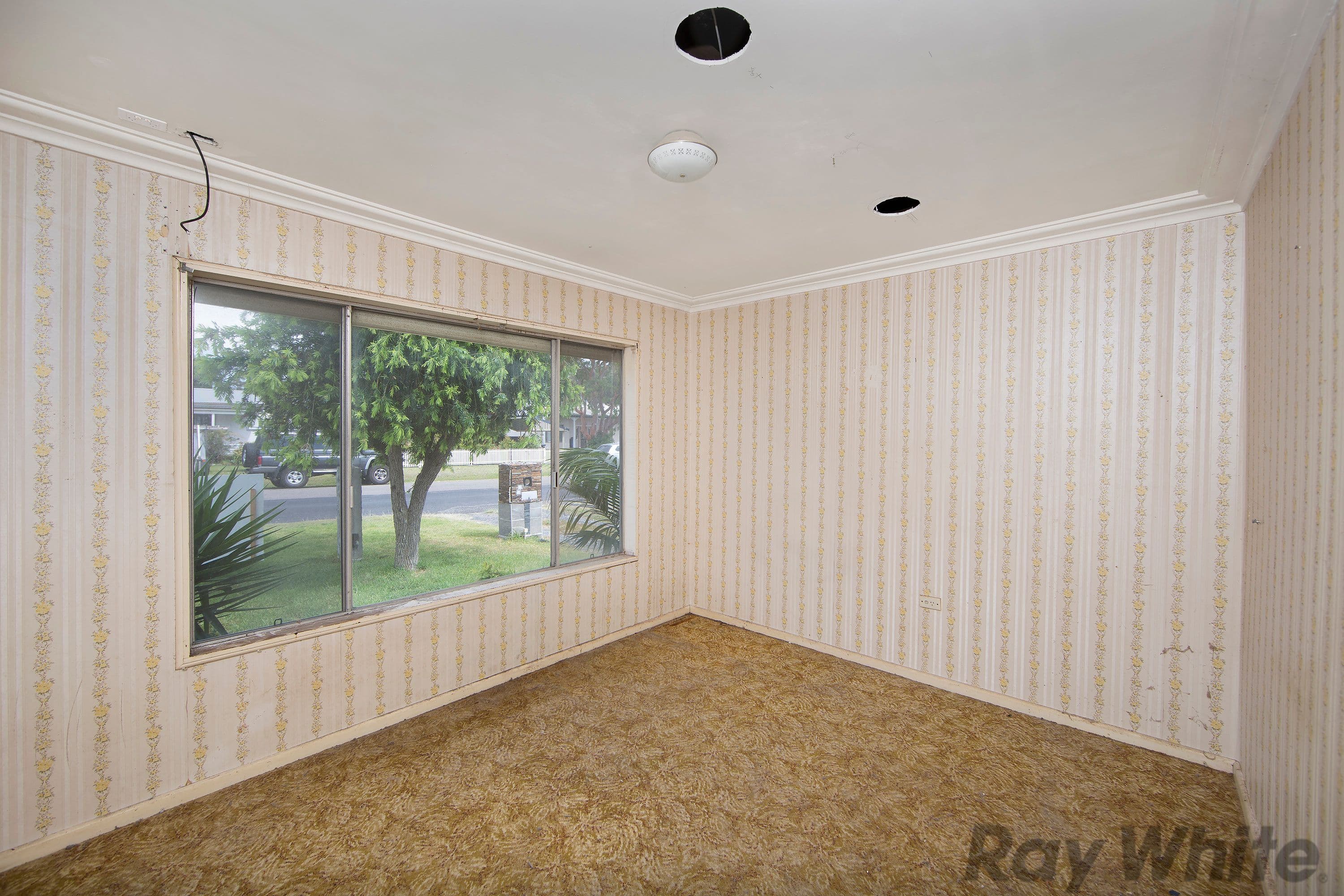 8 Kalani Street, Budgewoi - Thumbnail 8