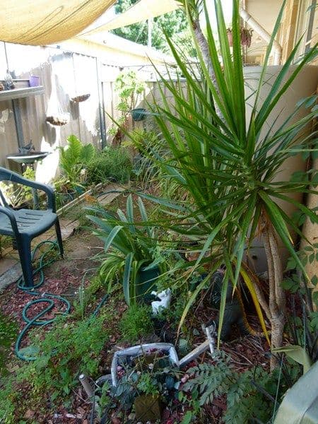 91 Farnell Street, FORBES NSW 2871, Forbes - Thumbnail 7