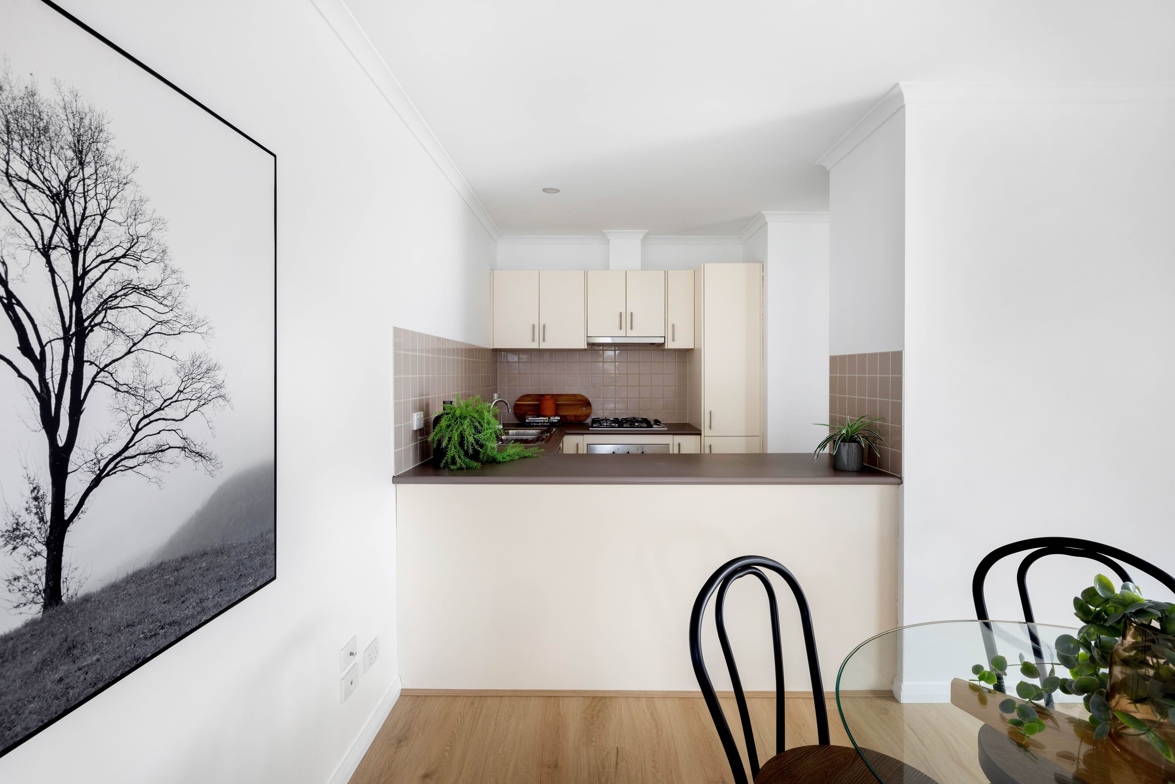 36 Mccomas Street, Reservoir VIC 3073, Reservoir - Thumbnail 5