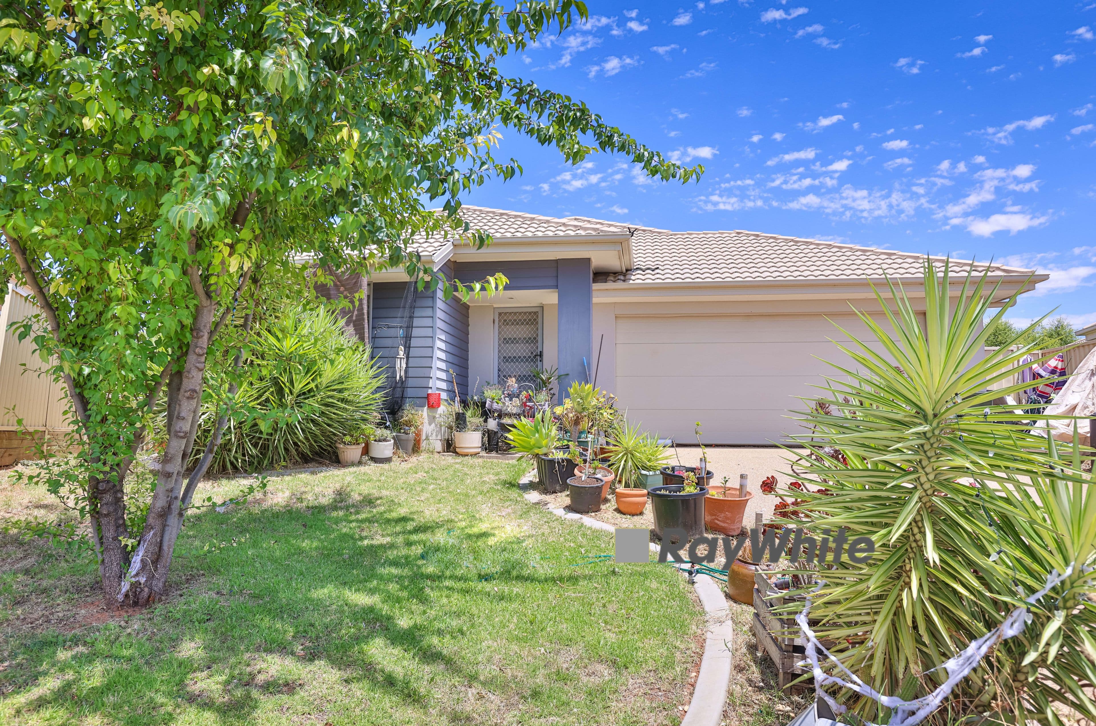 3 Jewel Court, Mildura VIC 3500, Mildura - Image 1