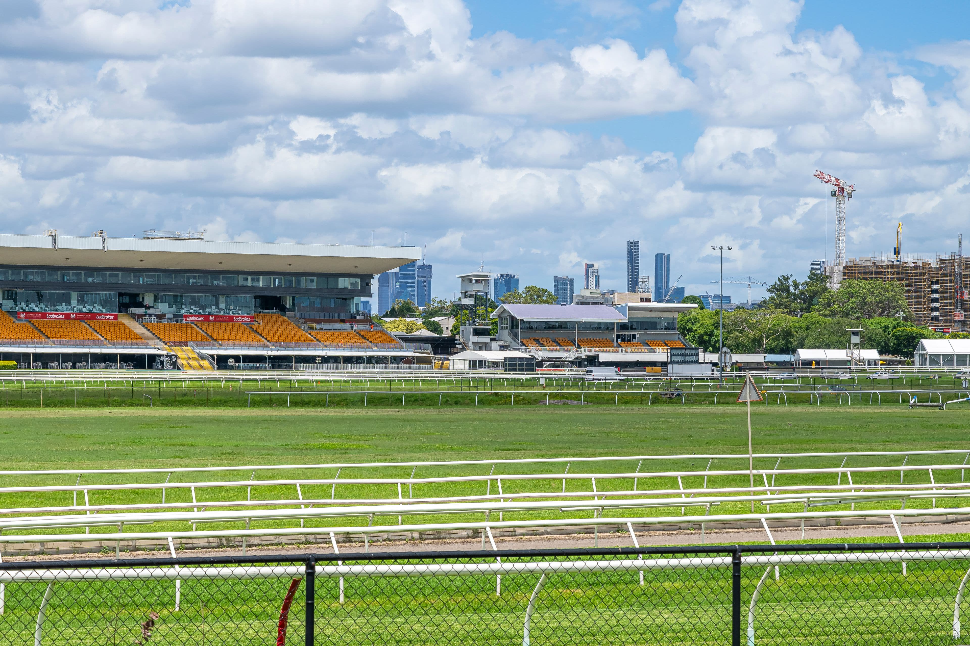 95 Raceview Avenue, Hendra QLD 4011, Hendra - Thumbnail 6
