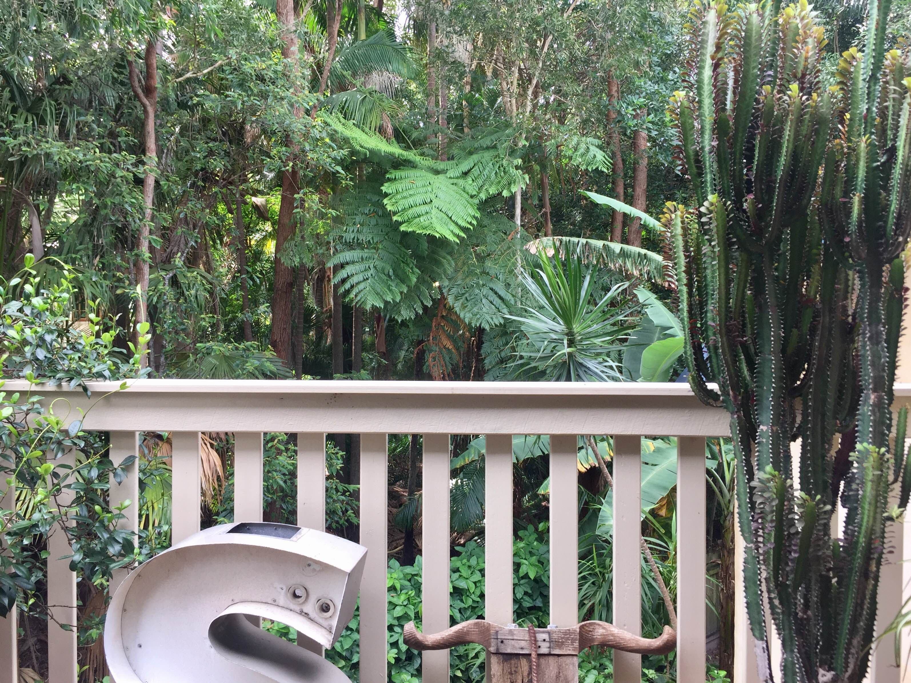 2-6 Cemetery Road, Byron Bay NSW 2481, Byron Bay - Thumbnail 8