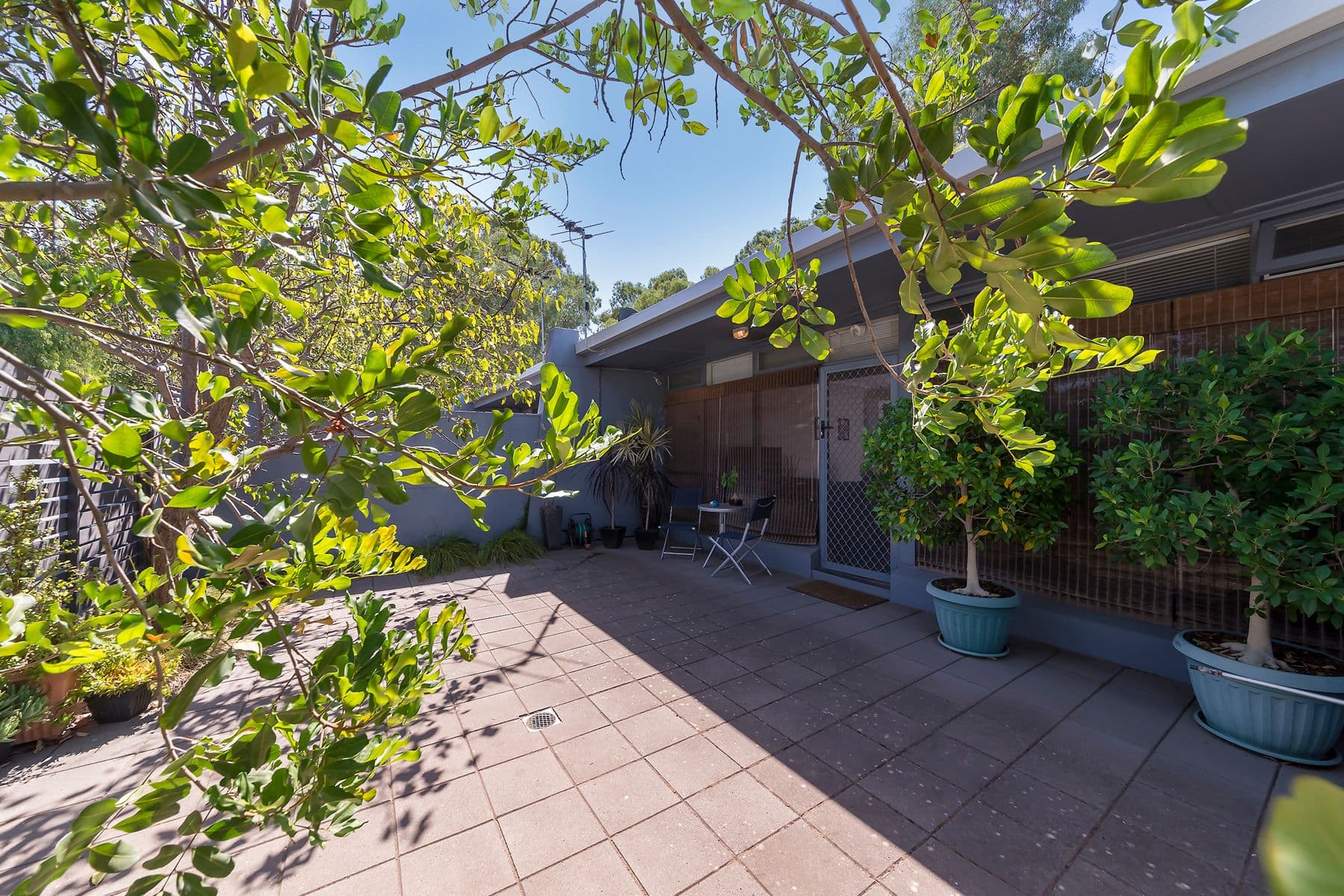  42 Eighth Street, Gawler South SA 5118, Gawler South - Image 1