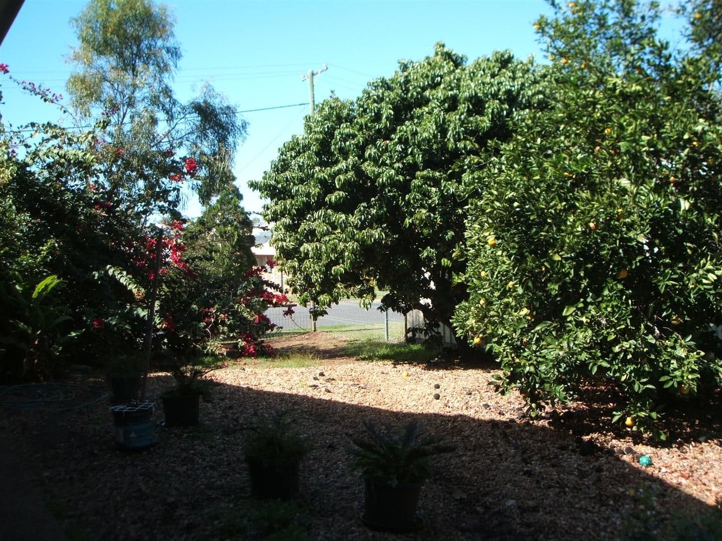42 Cowan Street, GRACEMERE QLD 4702, Gracemere - Thumbnail 6