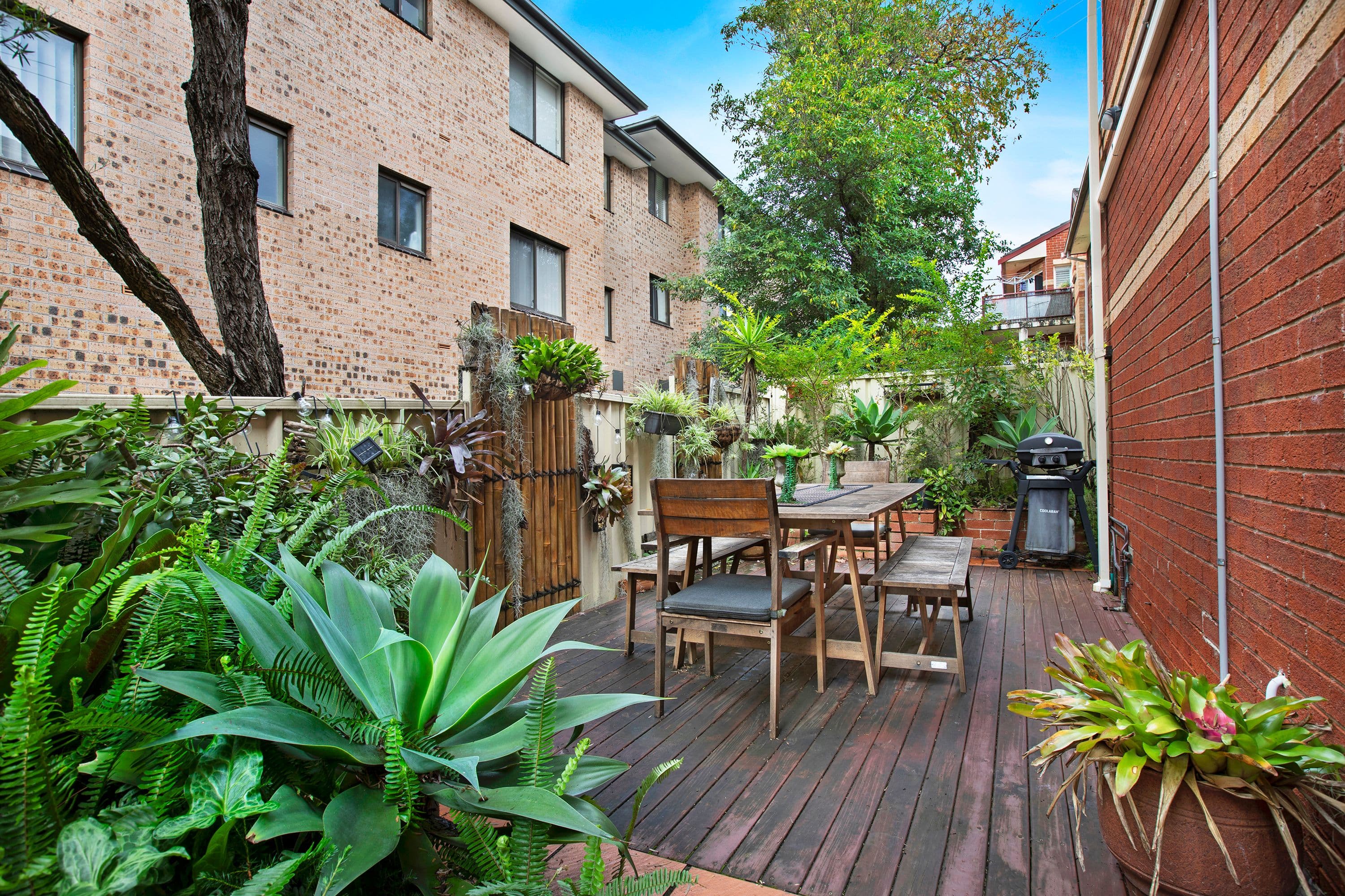 70 Hampden Road, Russell Lea NSW 2046, Russell Lea - Thumbnail 3