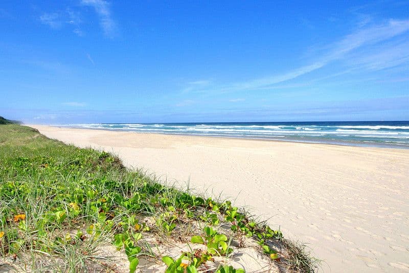 7 Harpullia Court, CASUARINA NSW 2487, Casuarina - Thumbnail 3