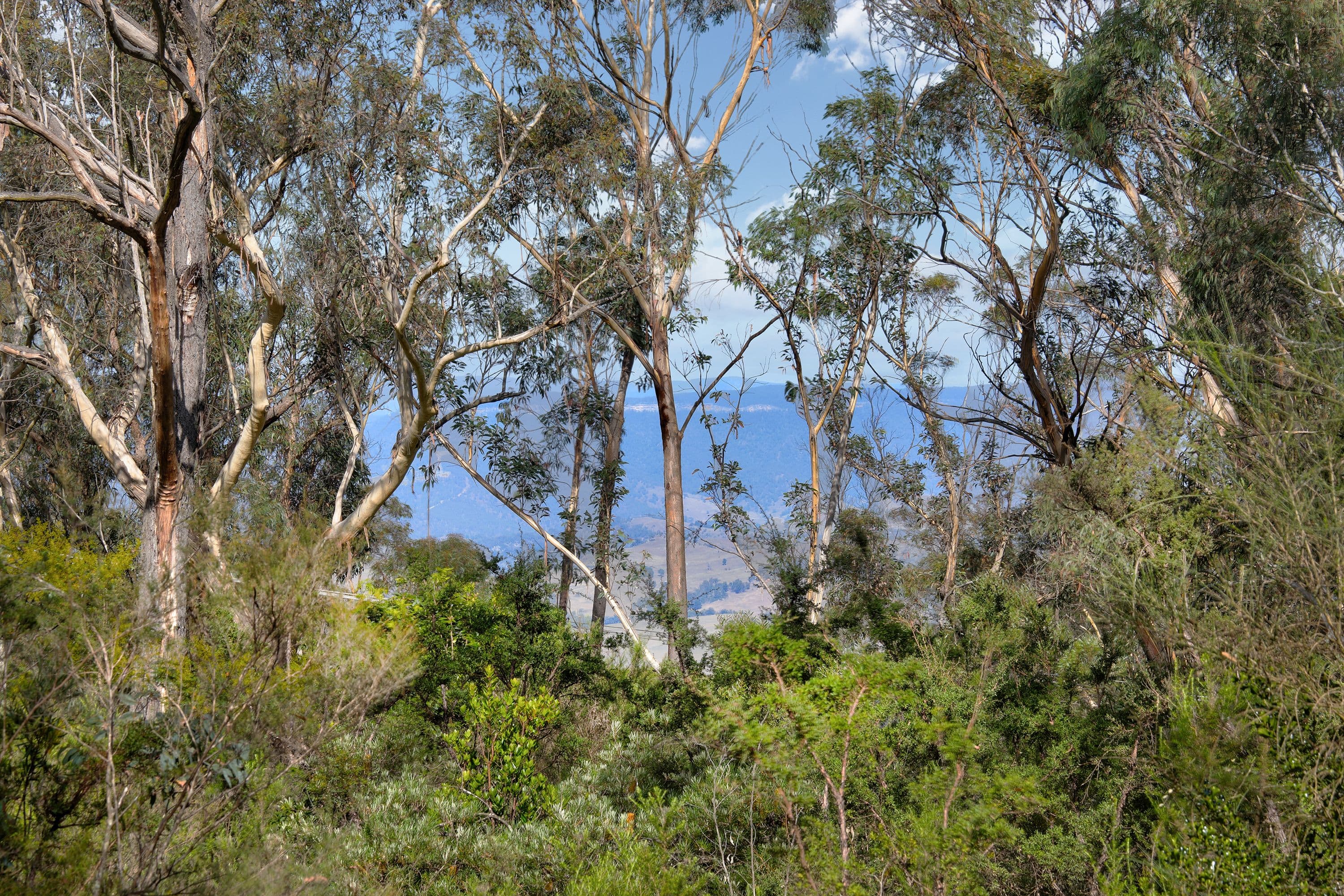 65 Victoria Street, Mount Victoria NSW 2786, Mount Victoria - Thumbnail 4