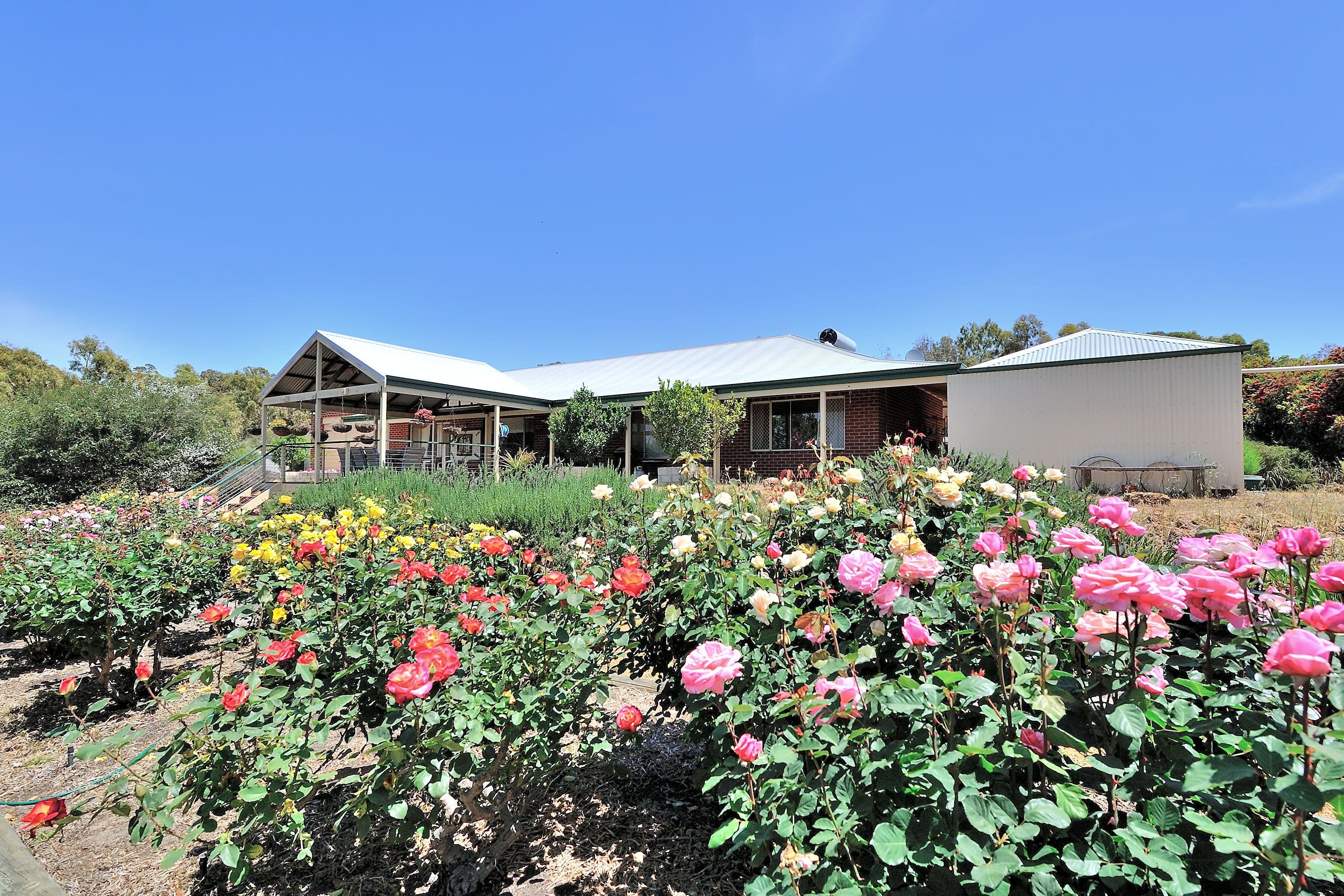 246 Ayrshire Loop, Lower Chittering WA 6084, Lower Chittering - Image 1