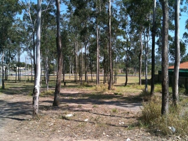 13 Bloodwood Place, REDBANK PLAINS QLD 4301, Redbank - Thumbnail 3