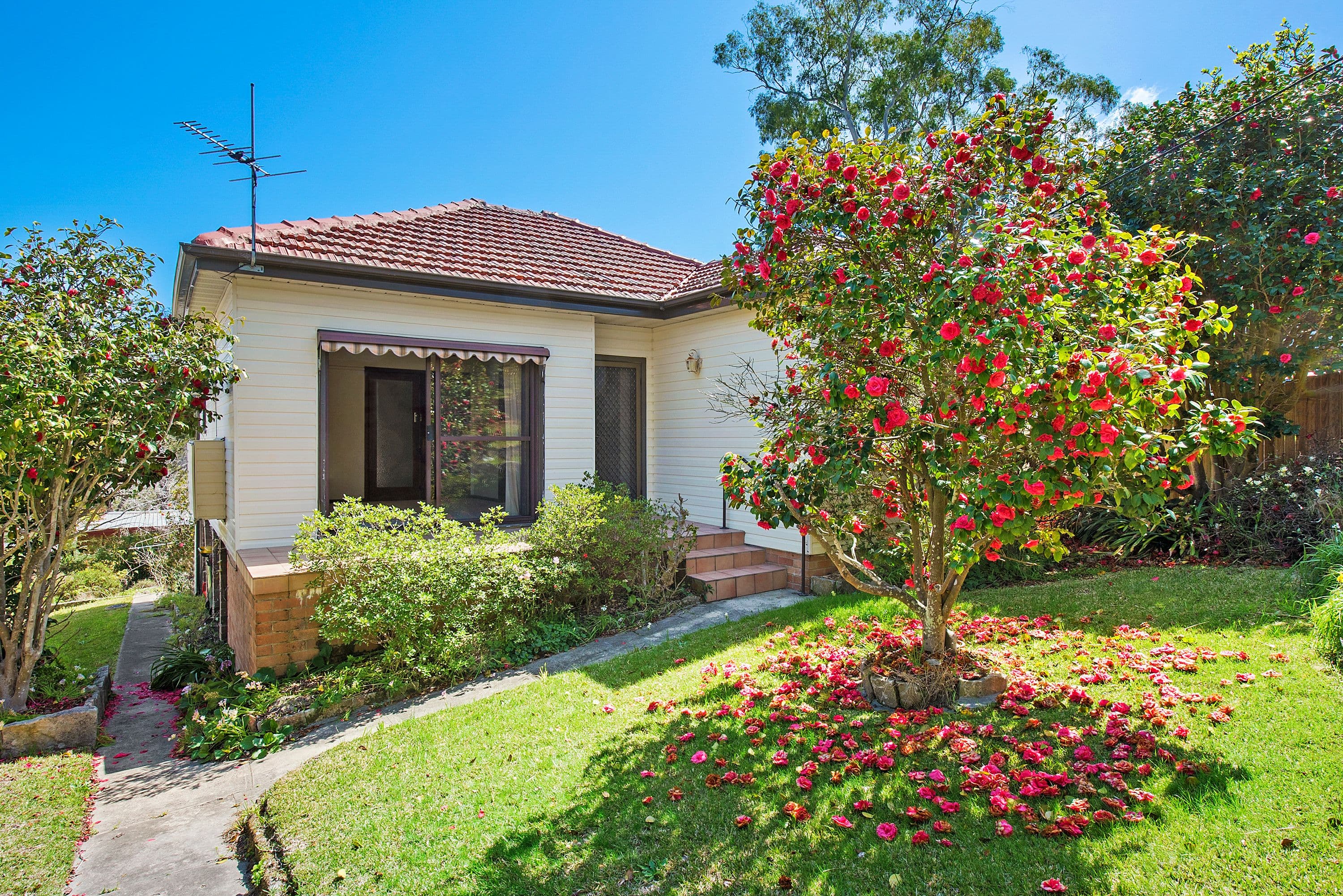 58 Wall Avenue, Asquith - Image 1