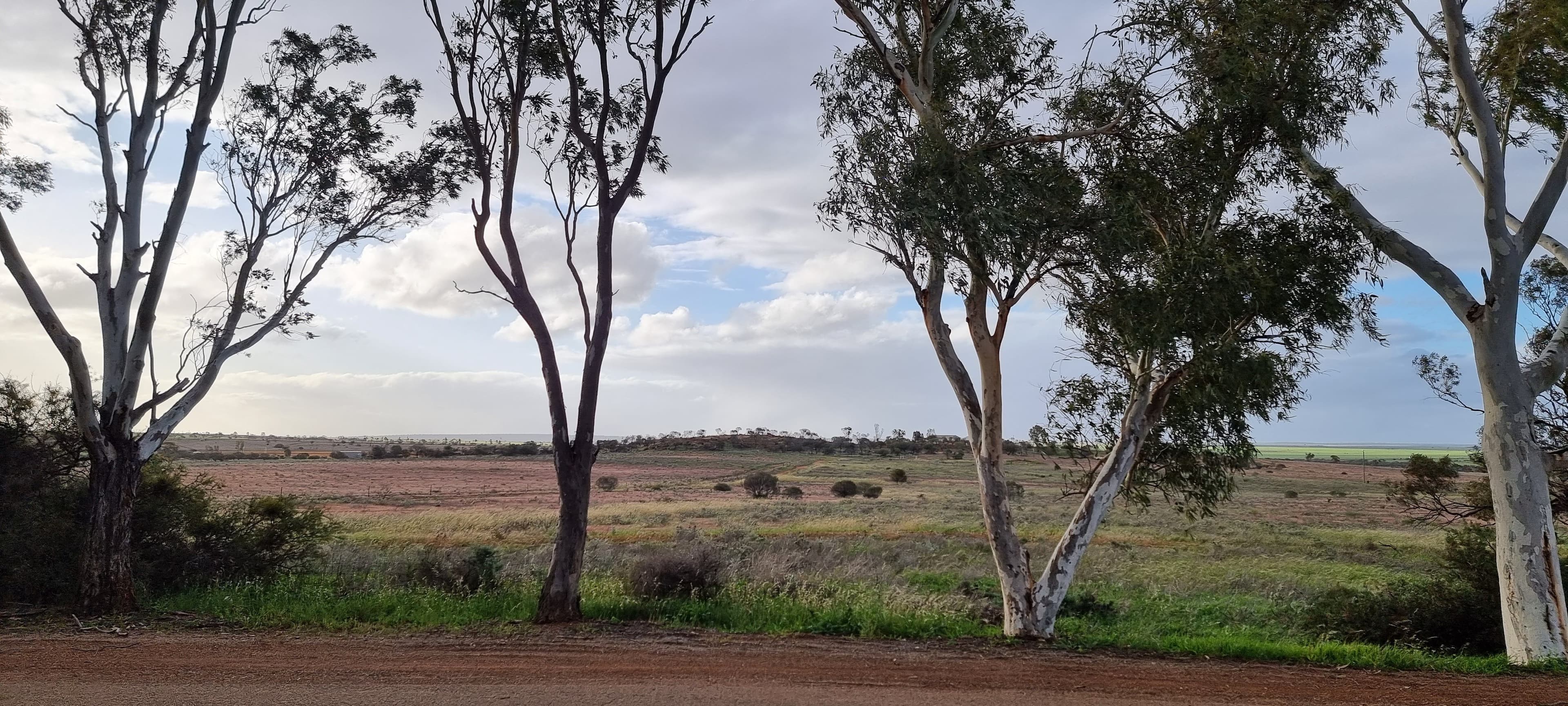 36 Birdwood Street, Mullewa WA 6630, Mullewa - Image 1