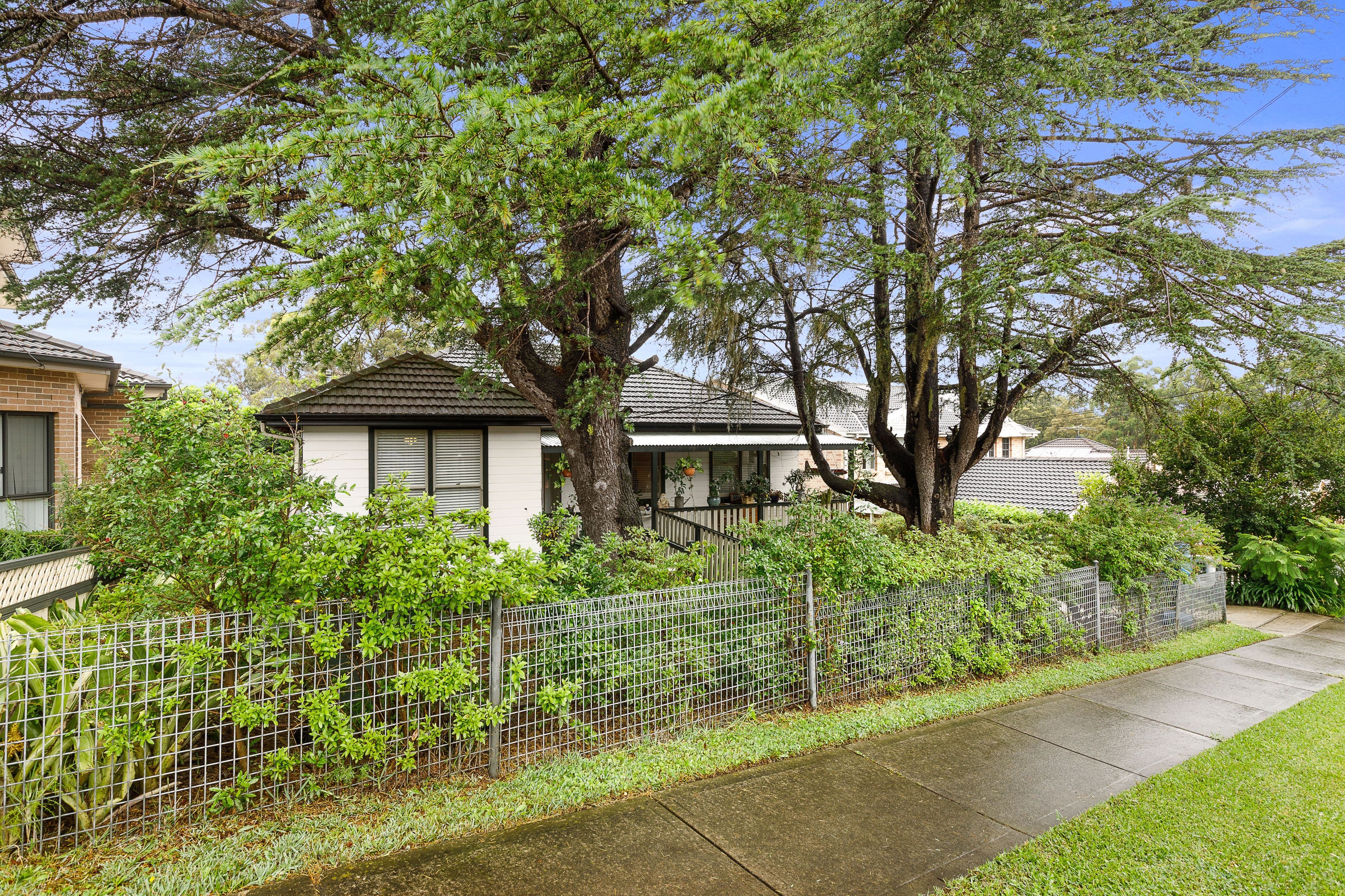 19 Patricia Street, Marsfield NSW 2122, Marsfield - Image 1