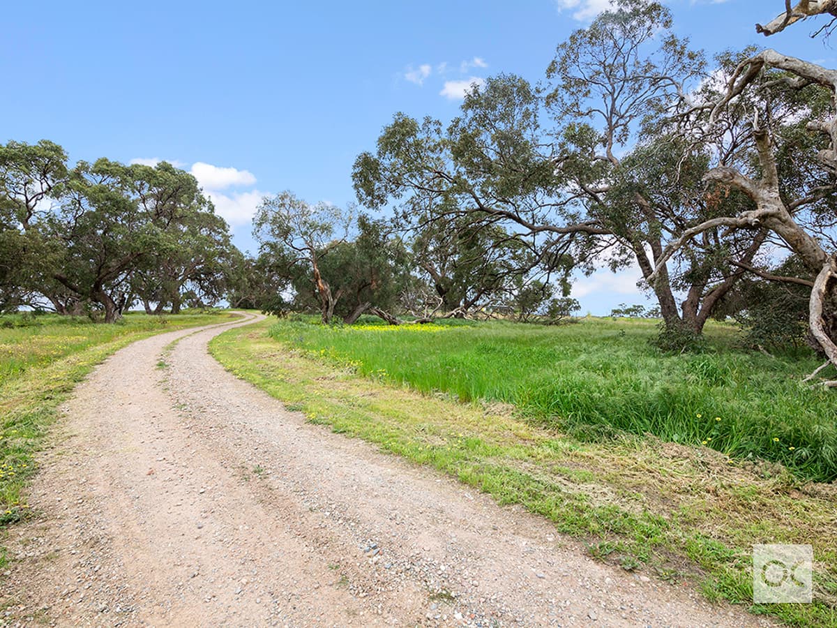 118 Branson Road, McLaren Vale - Thumbnail 4