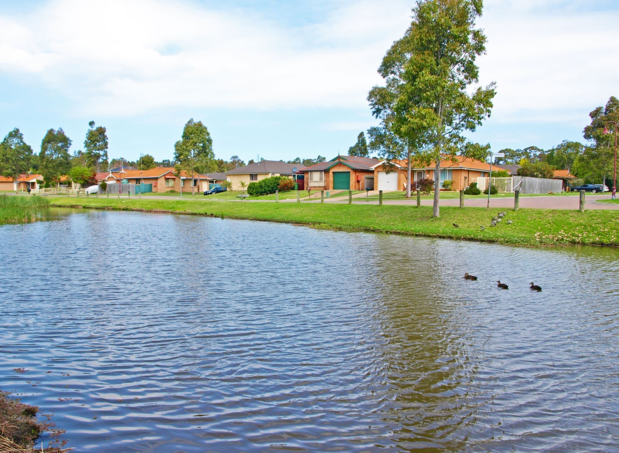 8 Cedarwood Road, HAMLYN TERRACE NSW 2259, Hamlyn Terrace - Thumbnail 6