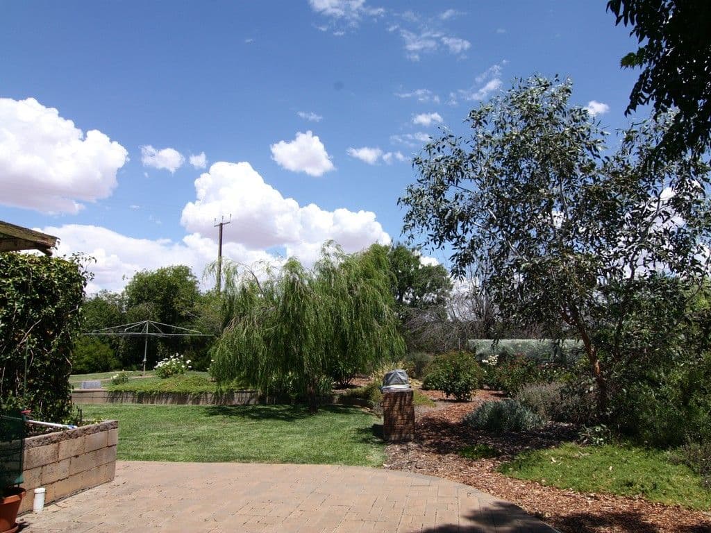 16 Anderson Road, Loxton North SA 5333, Loxton North - Thumbnail 7
