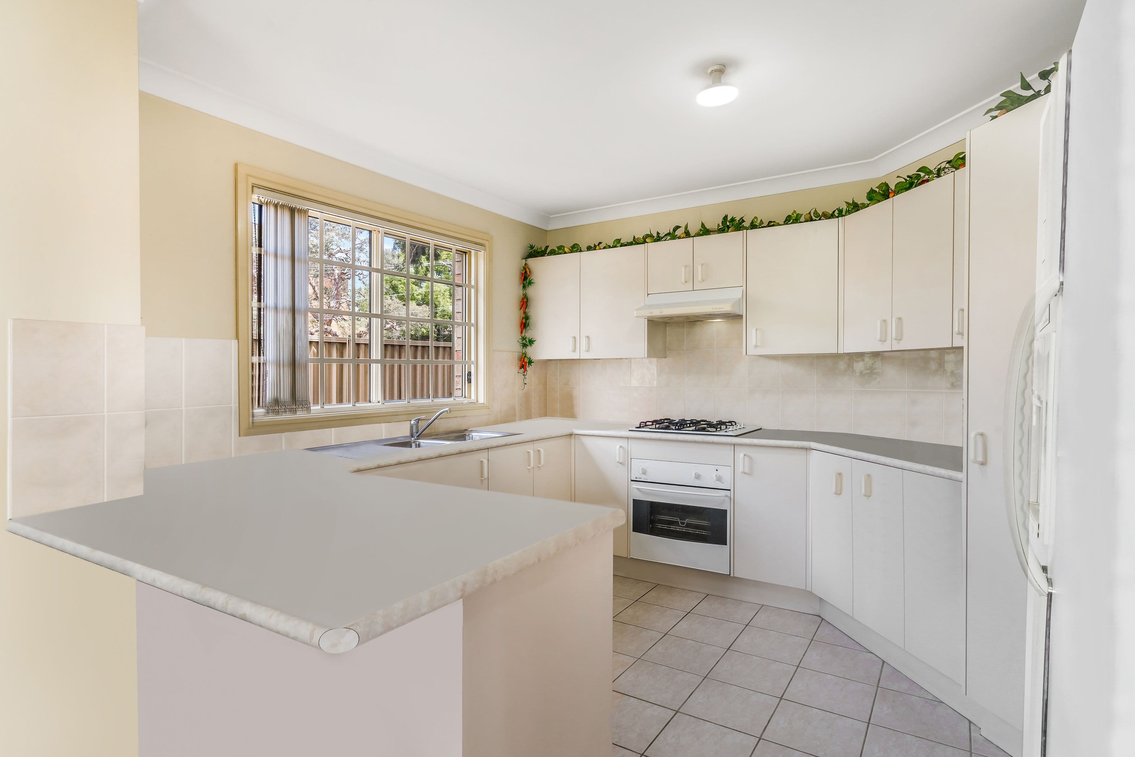 293 Sackville Street, Canley Heights NSW 2166, Canley Heights - Thumbnail 8