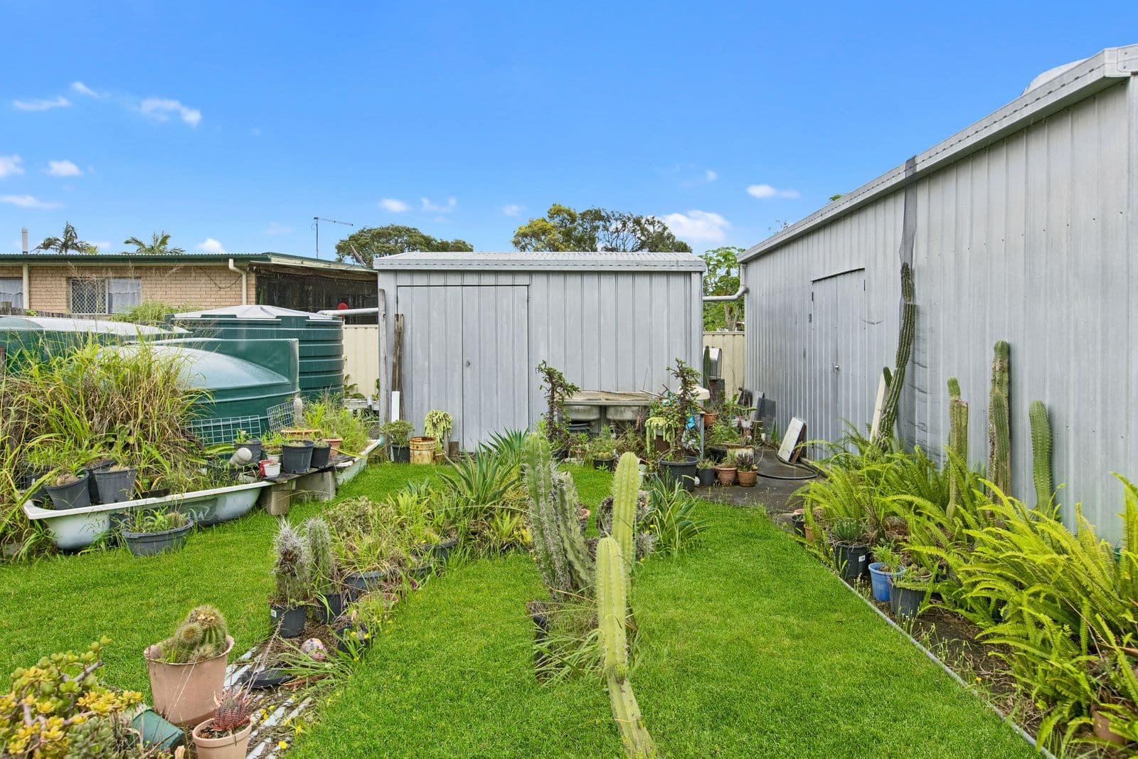 382 Watson Road, Acacia Ridge QLD 4110, Acacia Ridge - Thumbnail 5
