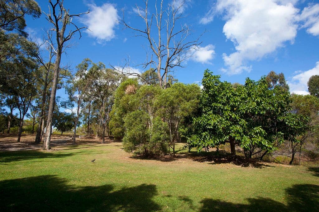 36 Michelangelo Crescent, Mackenzie QLD 4156, Mackenzie - Thumbnail 7